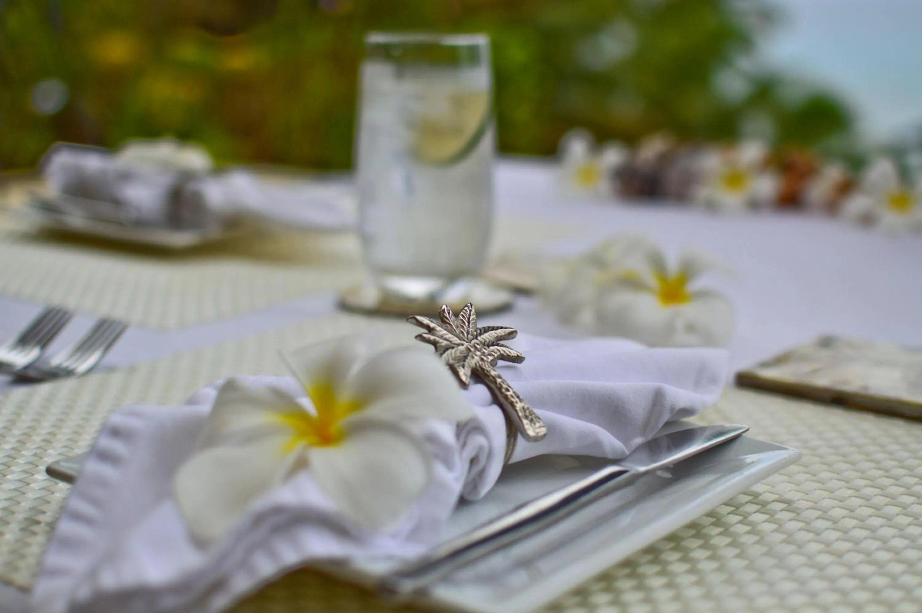 Food and drinks in Taveuni Palms Resort