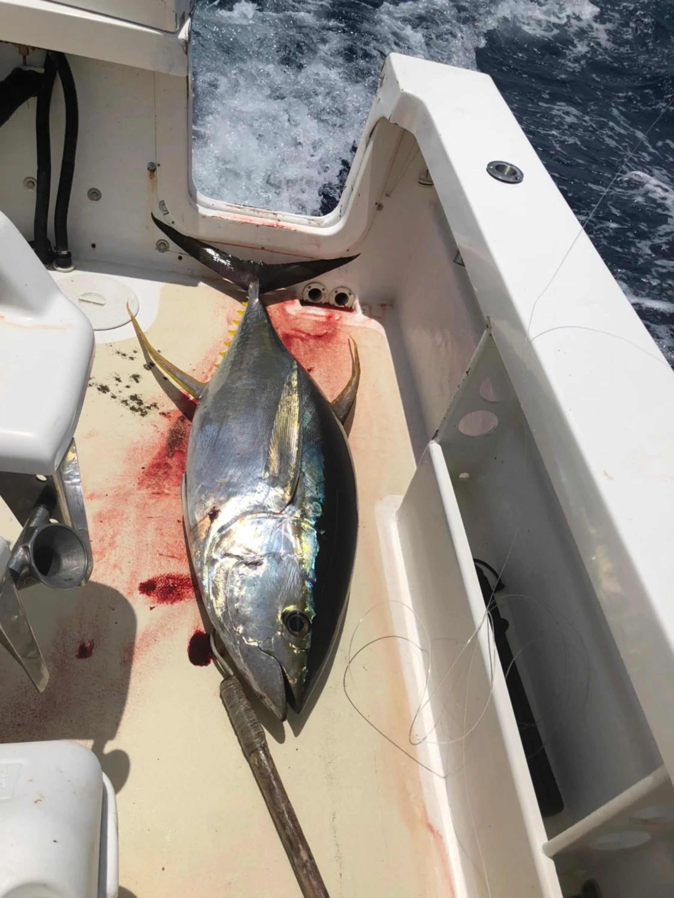 Fishing in Taveuni Palms Resort