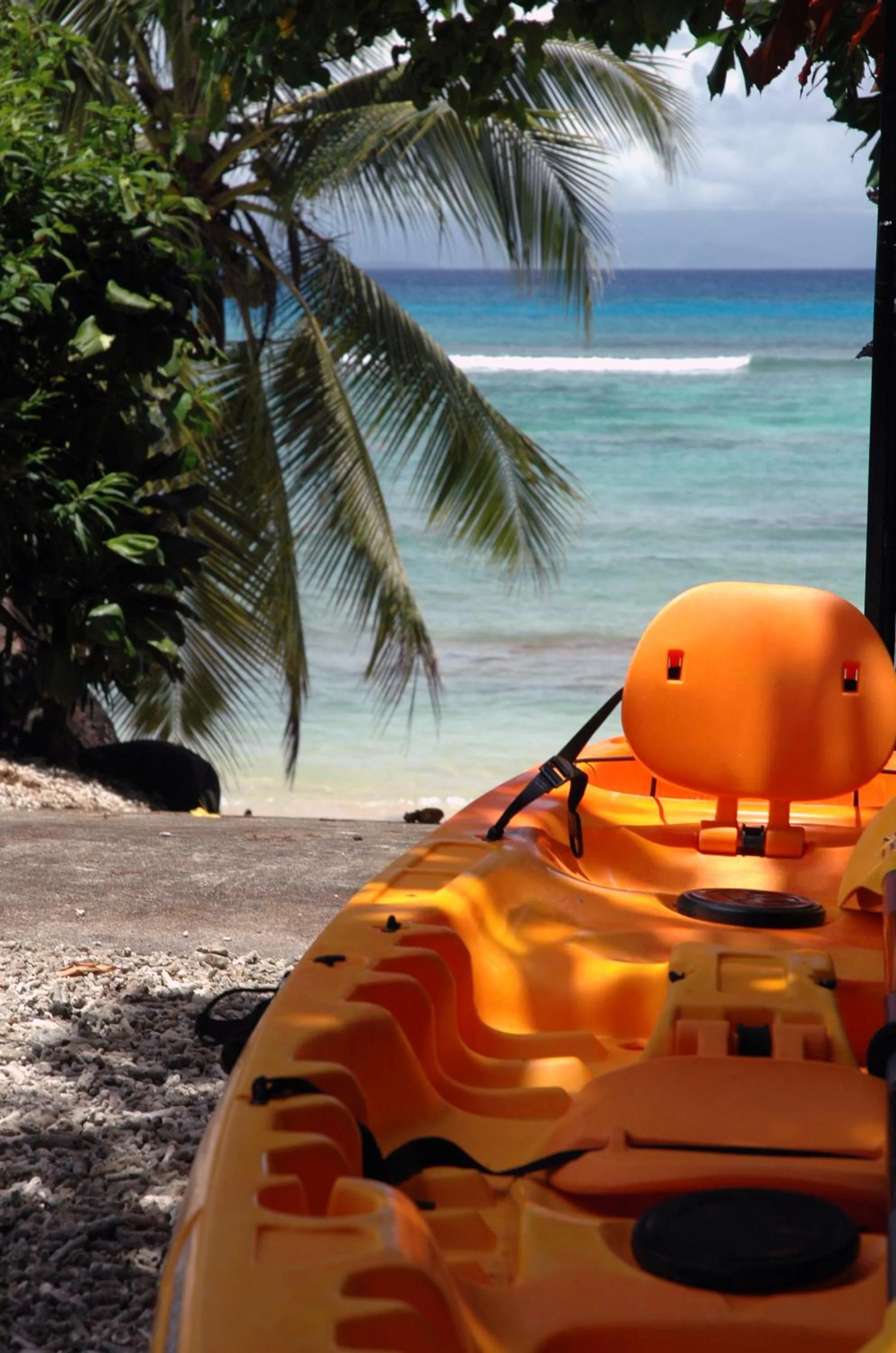 Beach in Taveuni Palms Resort