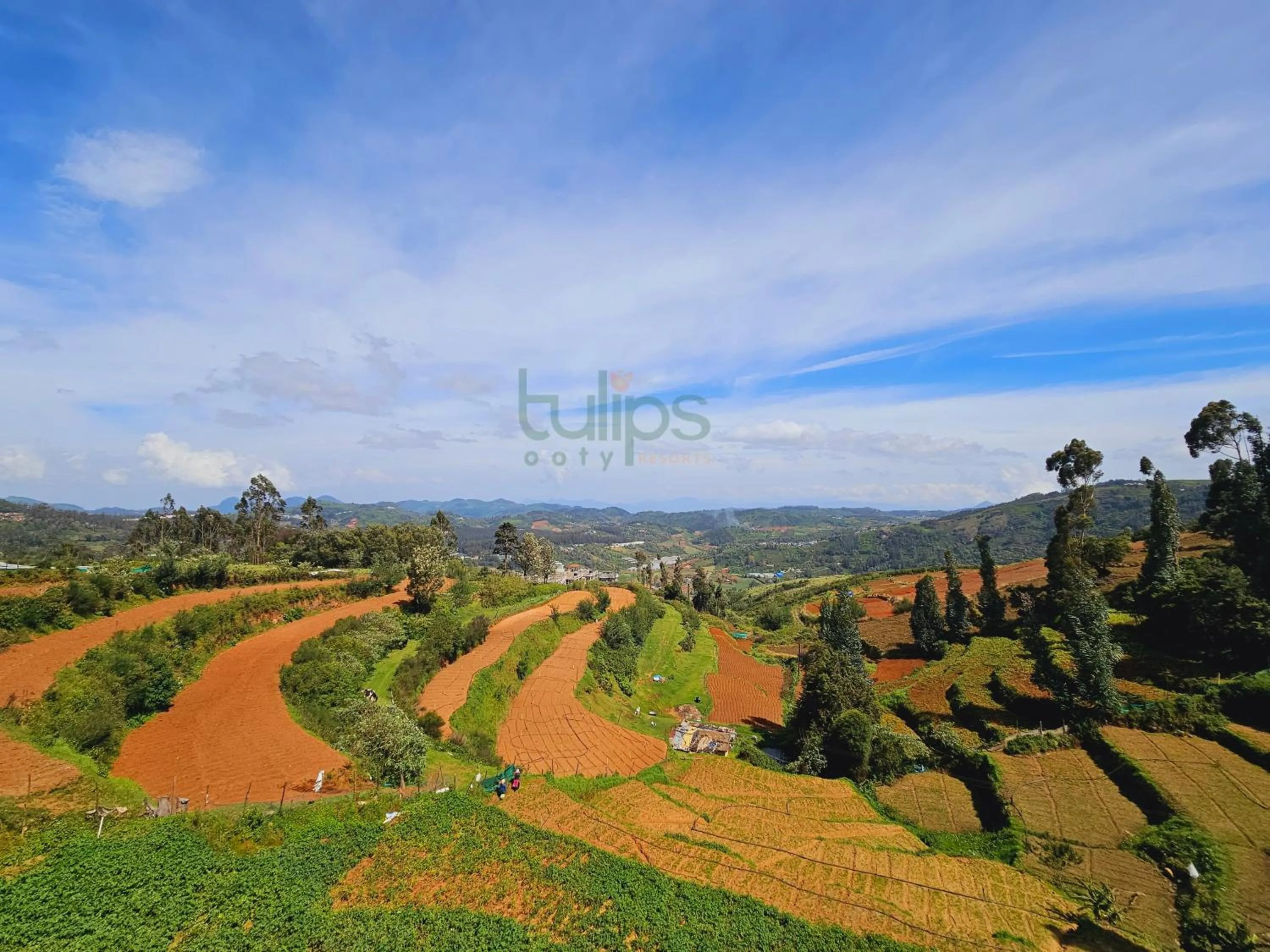 Natural landscape in Tulips Village Resorts