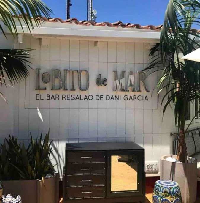 Day in Modern 2 bedroom in Marbella Real