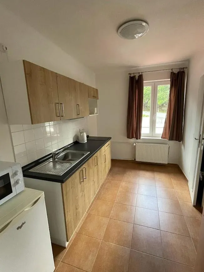 Kitchen or kitchenette in Hotel Rohanov