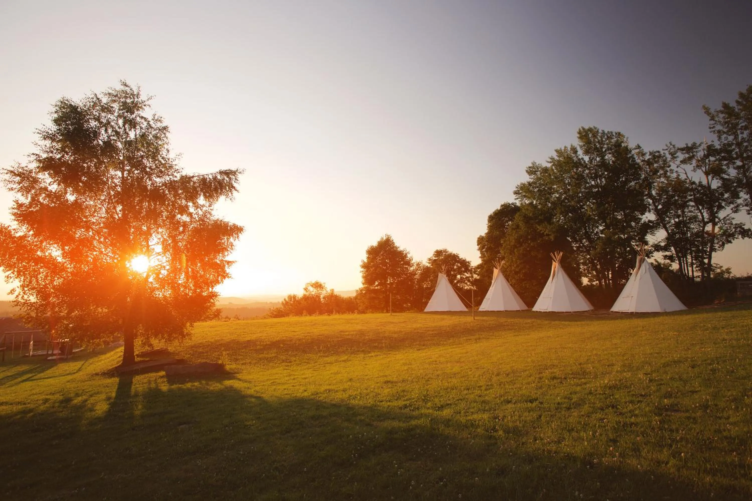 Garden in Hotel Rohanov