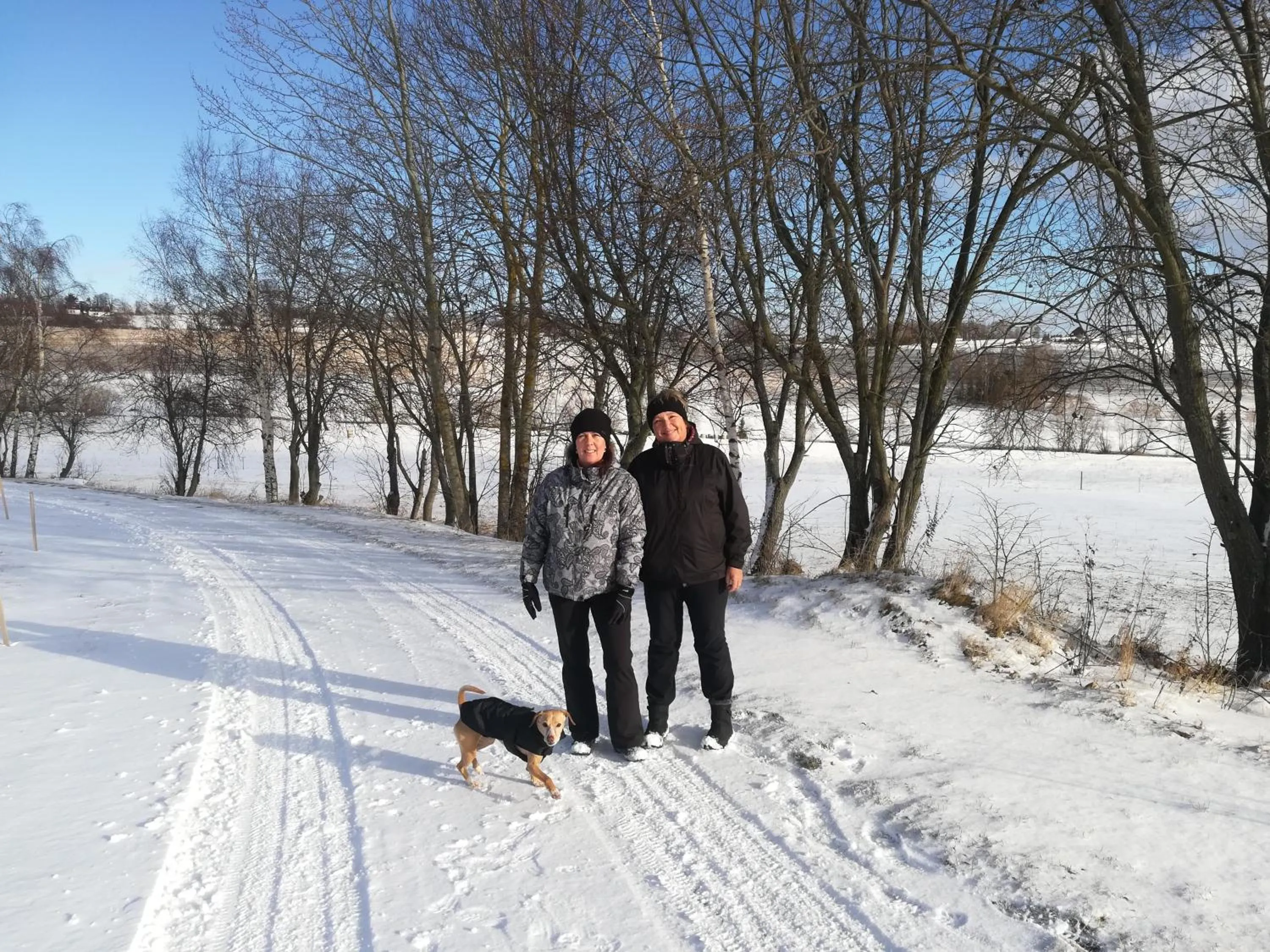 Hiking in Hotel Rohanov