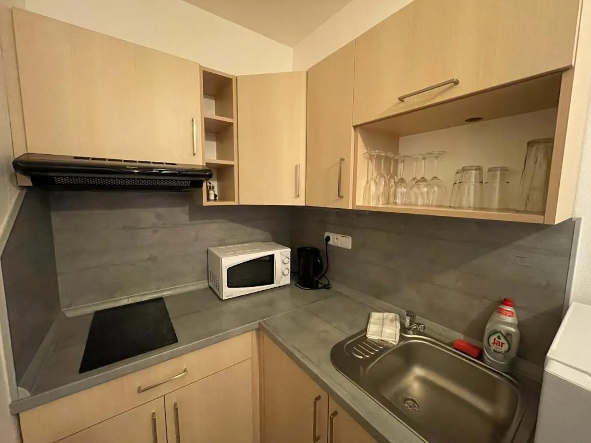 Kitchen or kitchenette in Hotel Rohanov