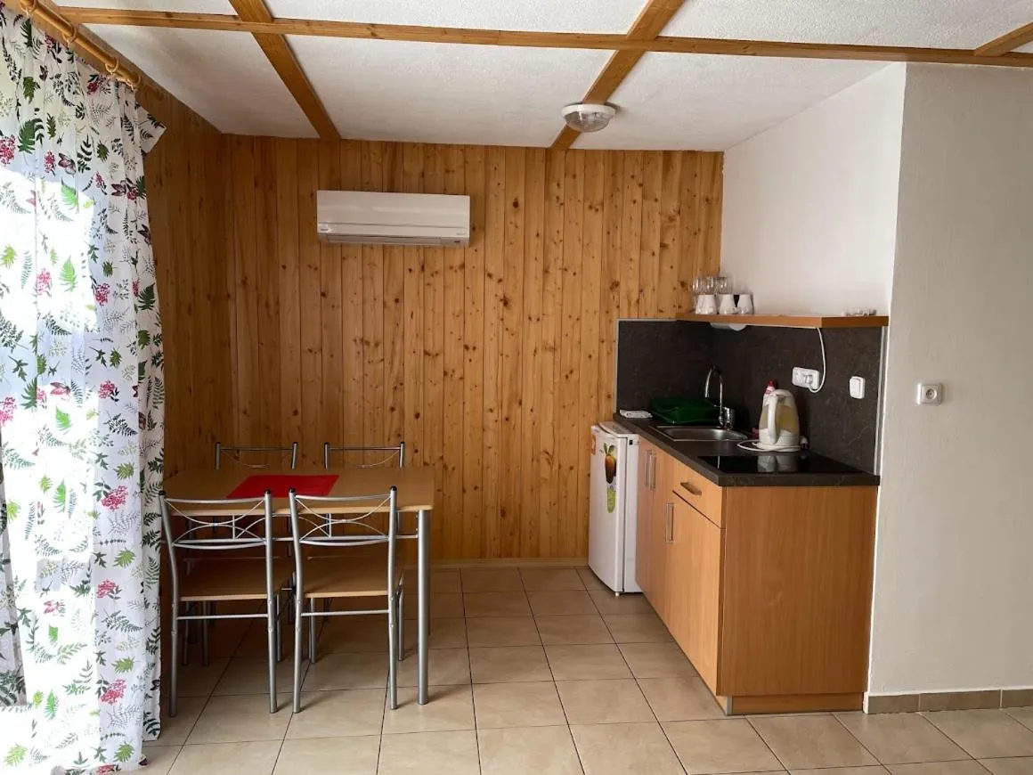 Kitchen or kitchenette in Hotel Rohanov