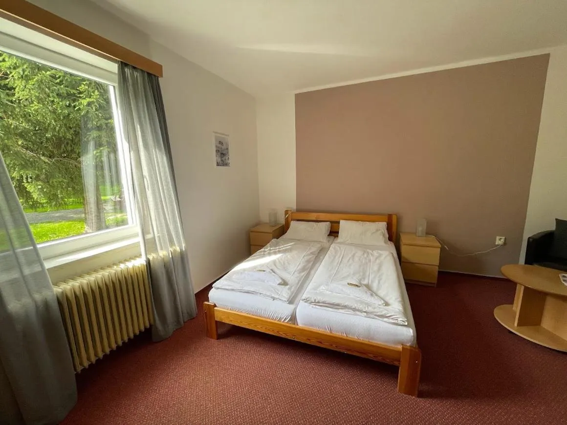 Bed in Hotel Rohanov