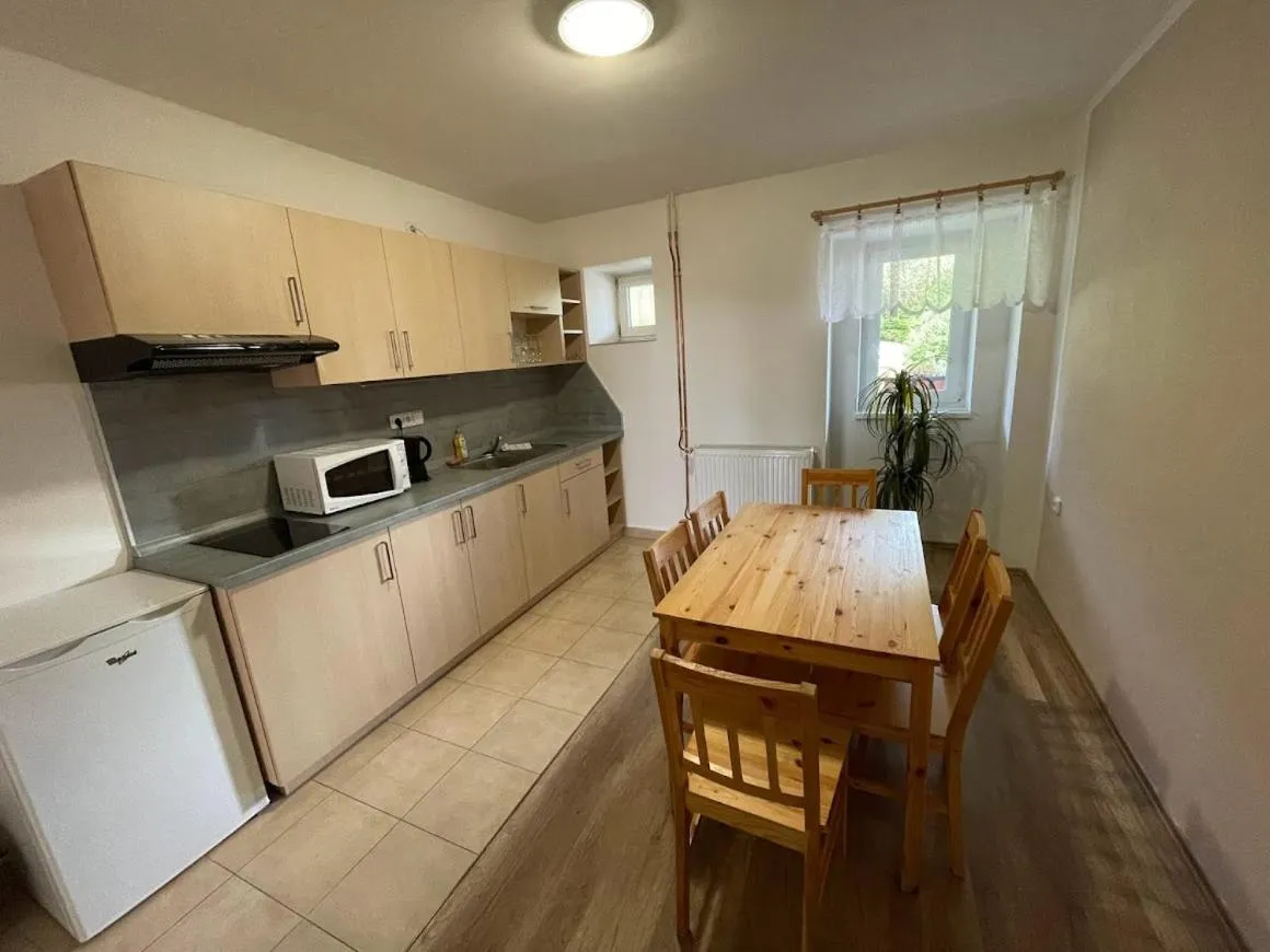 Kitchen or kitchenette in Hotel Rohanov