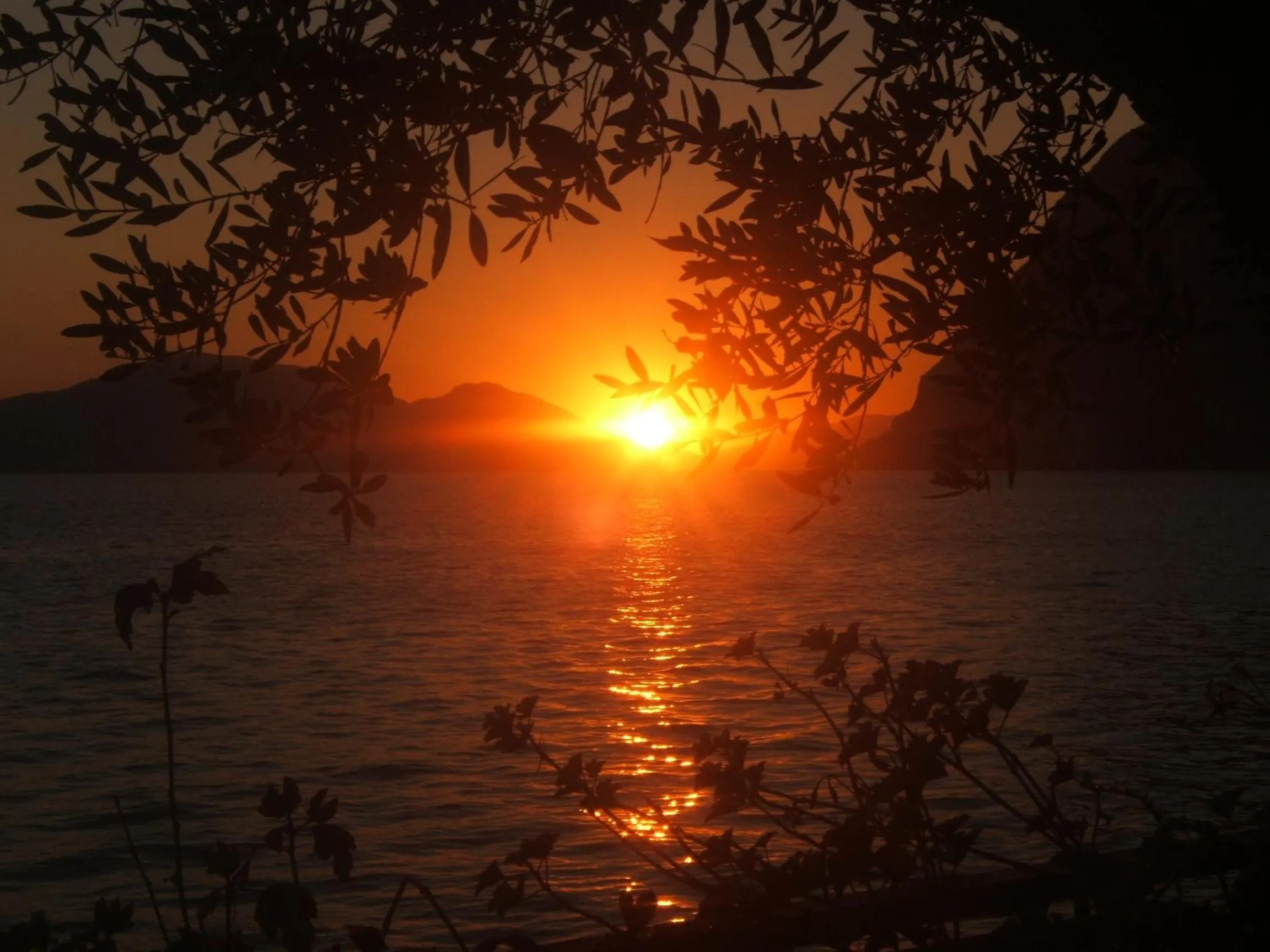 Natural landscape in La Foresta Monteisola