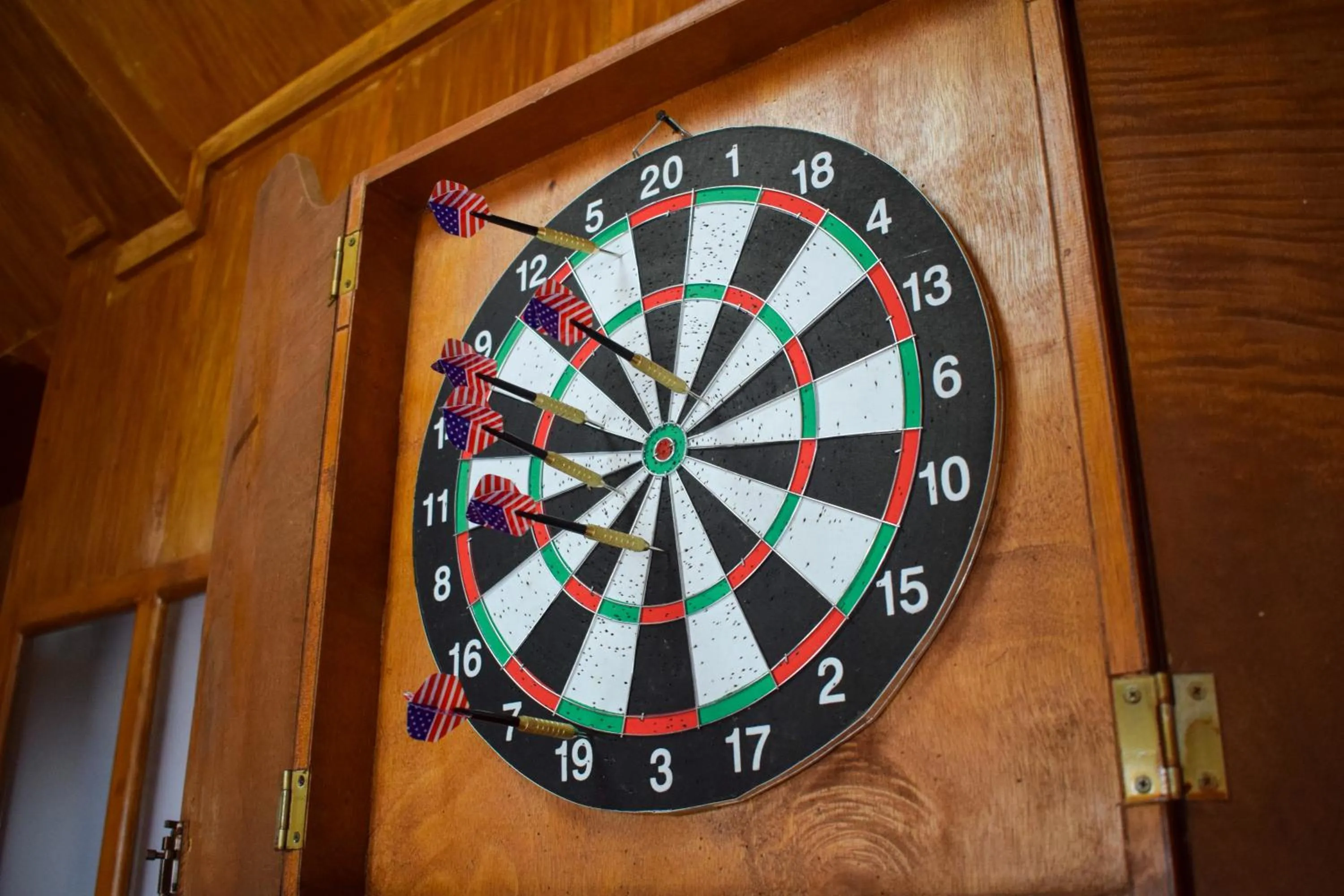 Darts in Orokasa Guesthouse