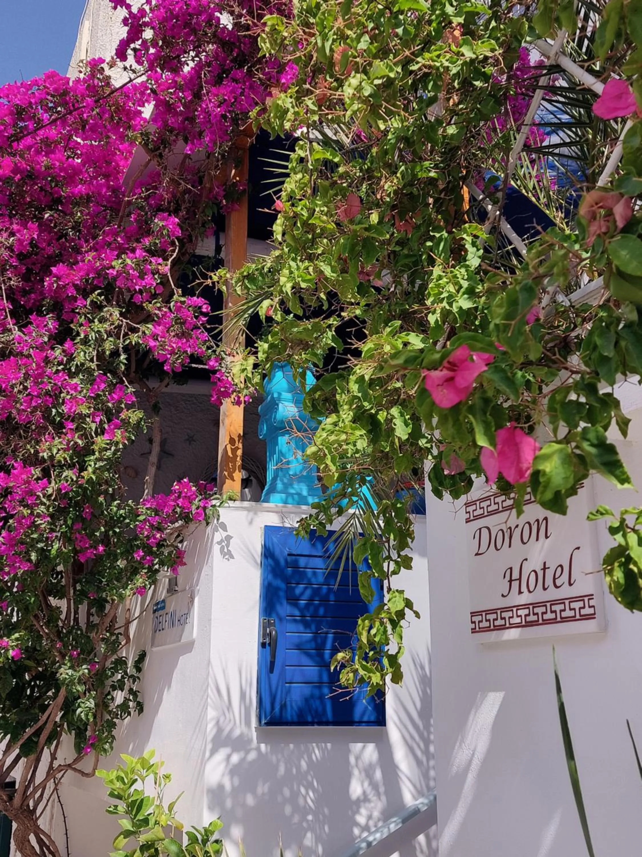 Garden in Doron Hotel Delfini