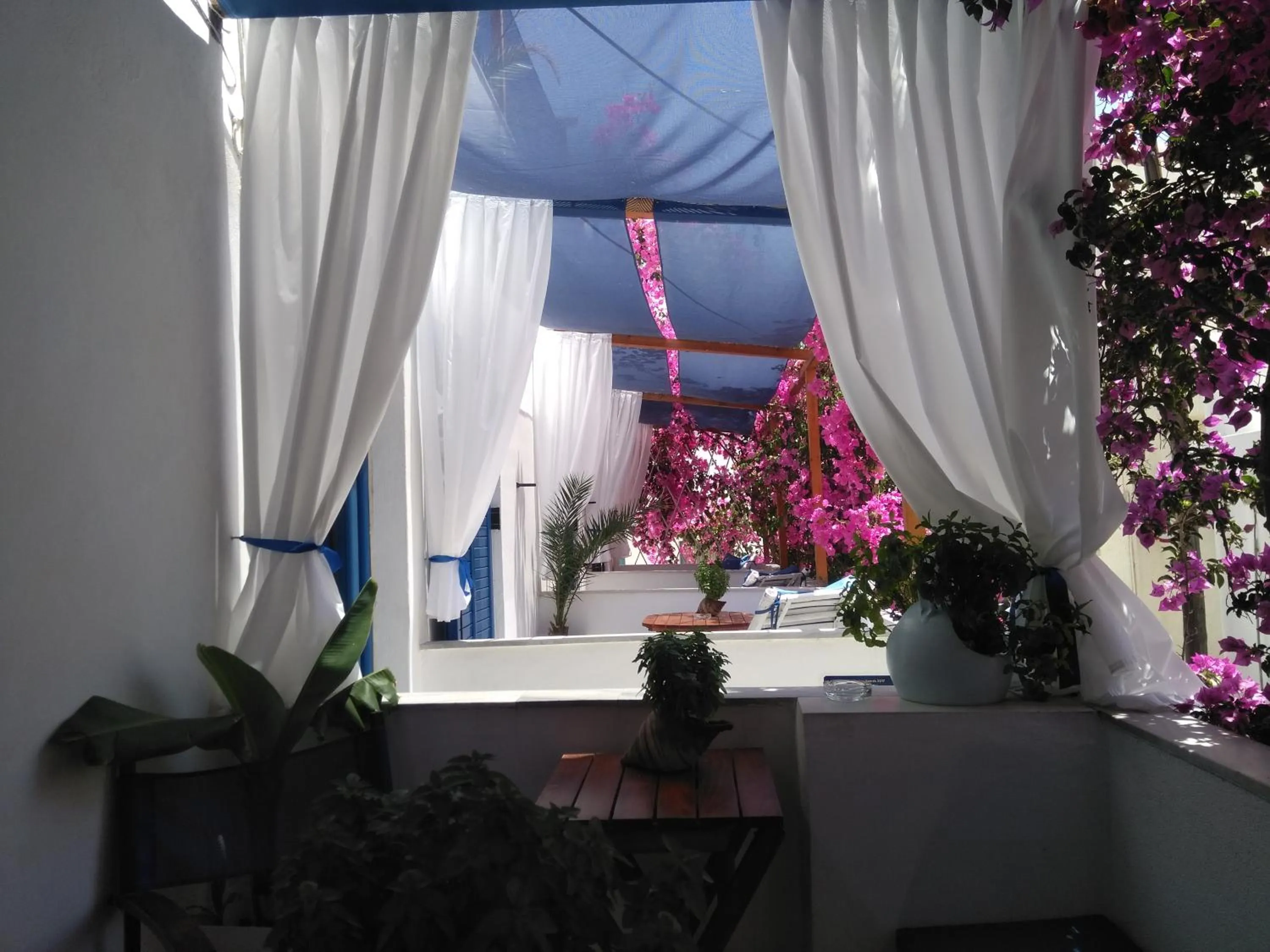 Balcony/Terrace in Doron Hotel Delfini