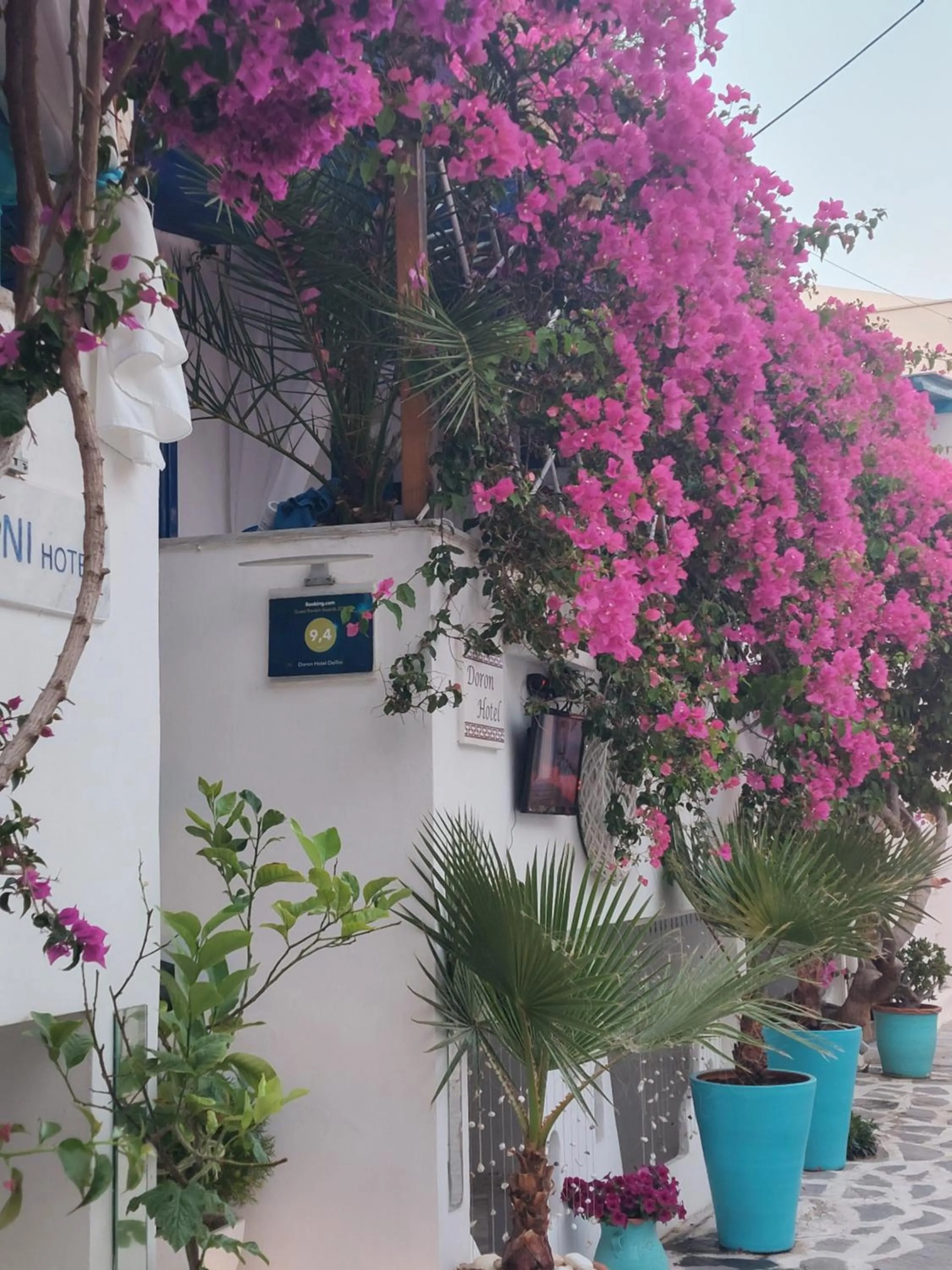 Garden view in Doron Hotel Delfini