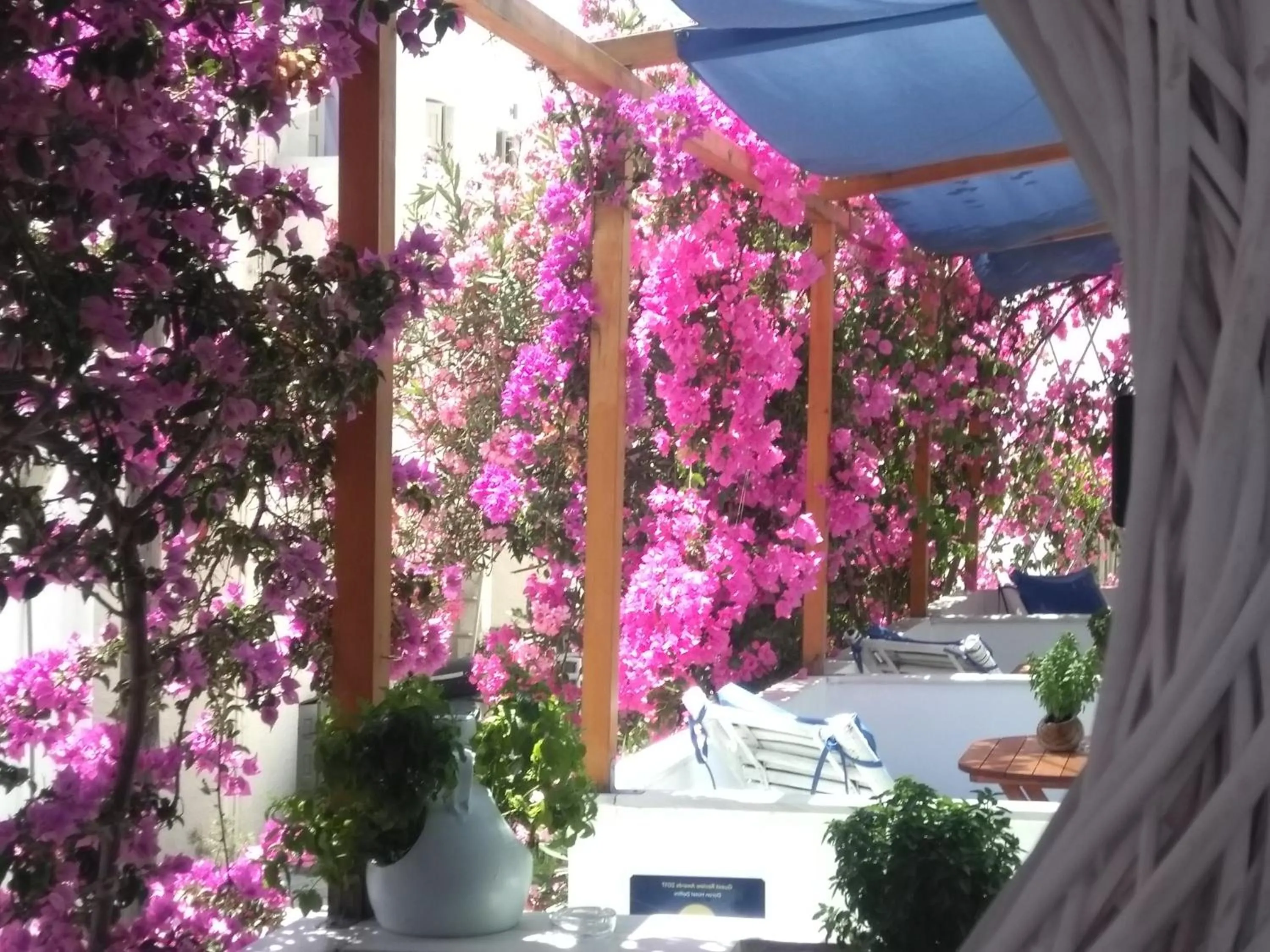 Balcony/Terrace in Doron Hotel Delfini