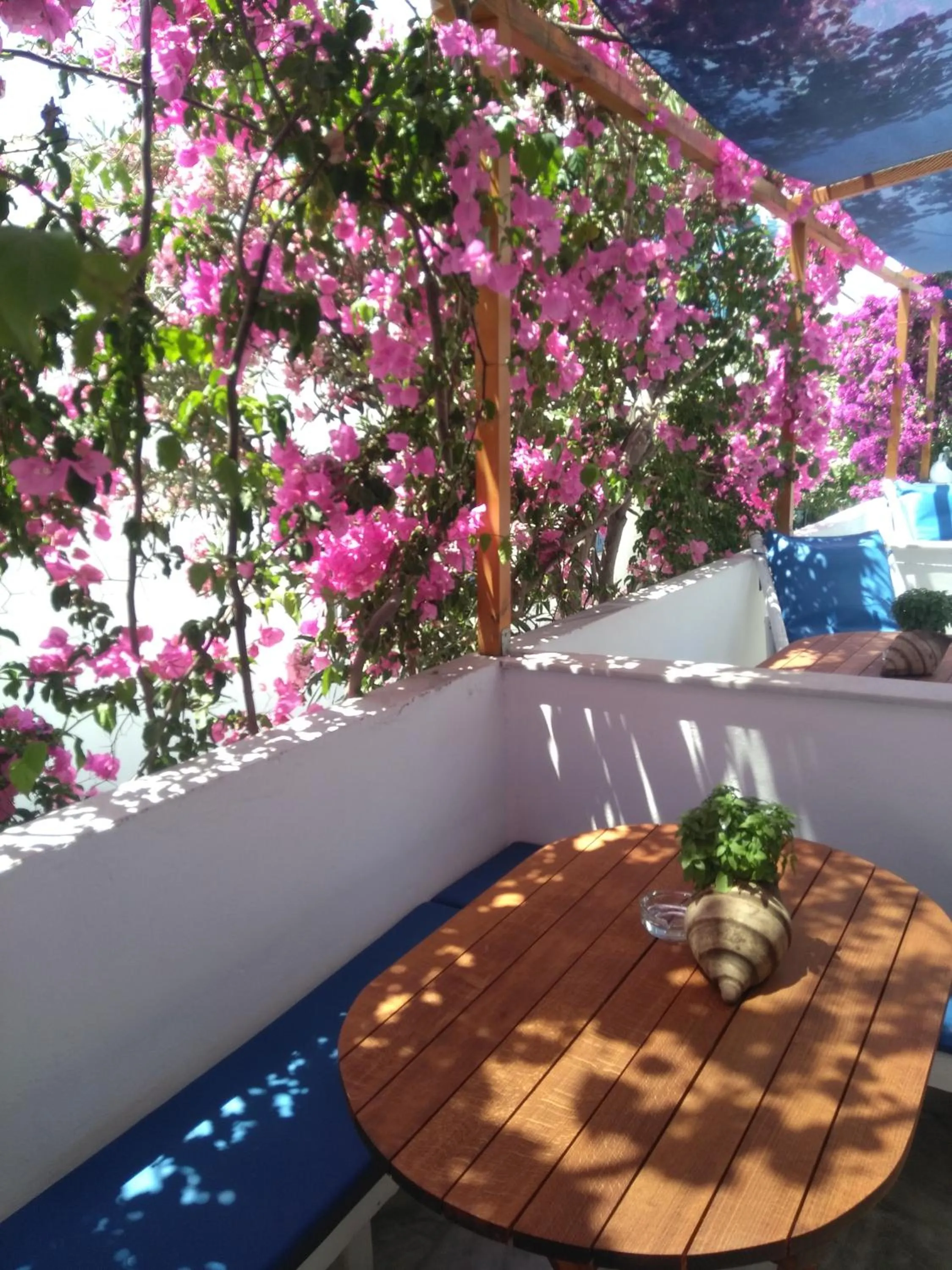 Balcony/Terrace in Doron Hotel Delfini