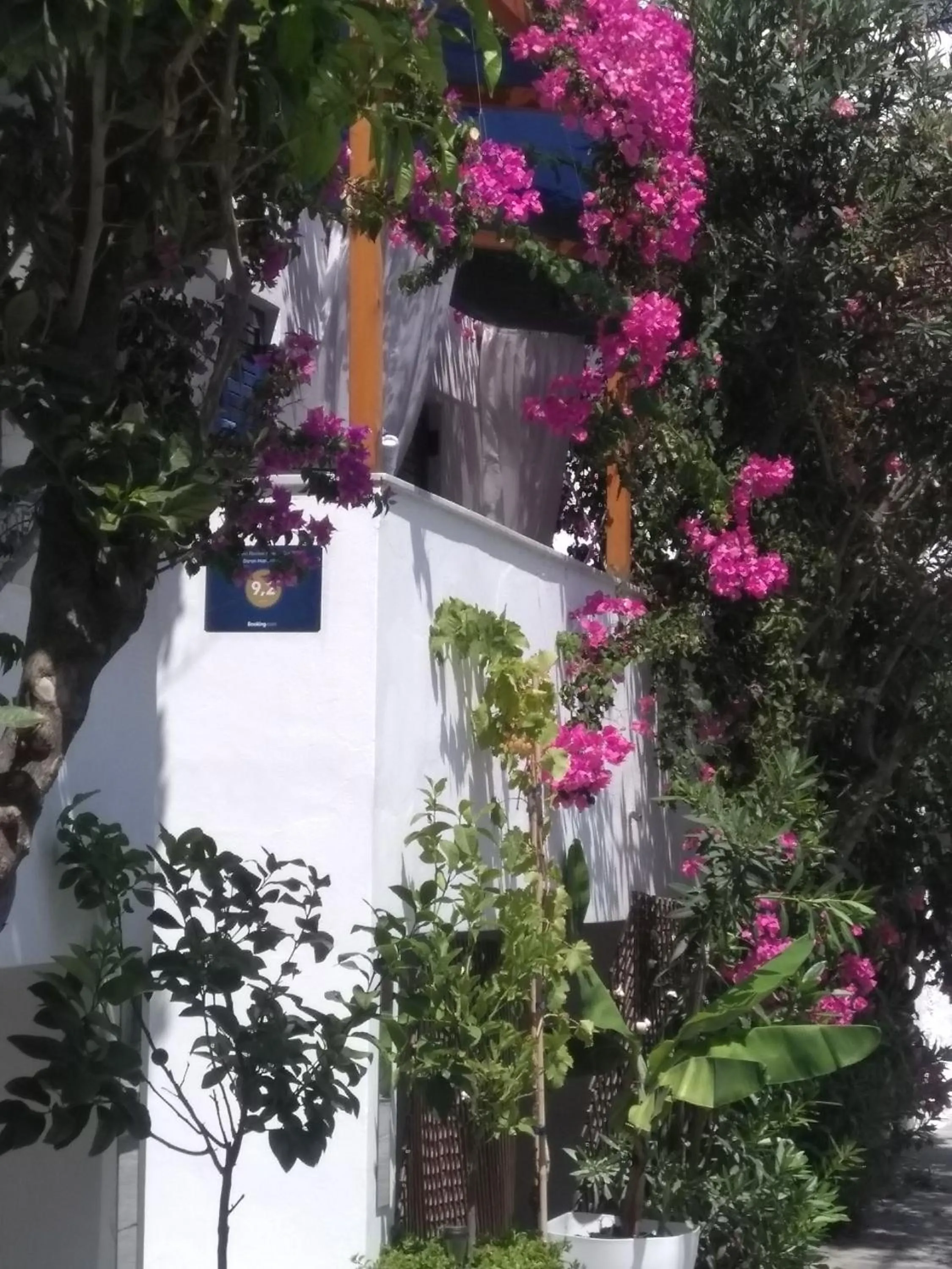 Facade/entrance in Doron Hotel Delfini