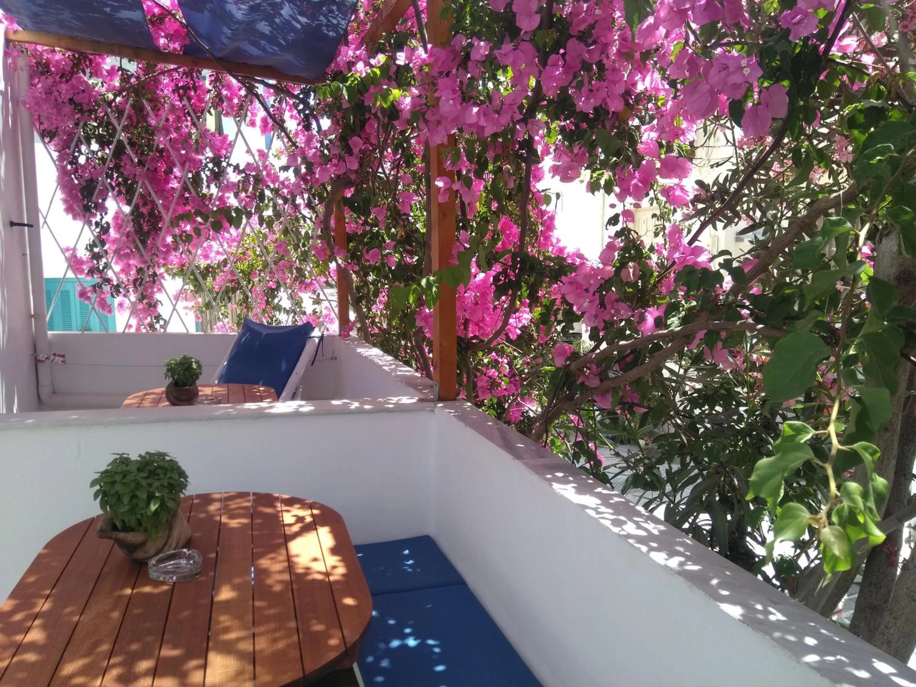 Balcony/Terrace in Doron Hotel Delfini