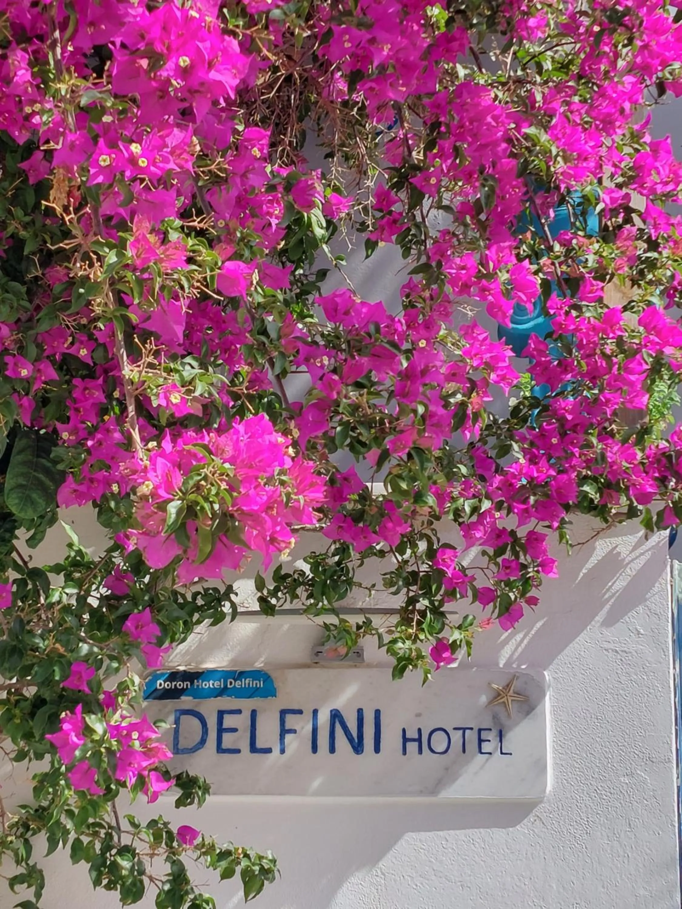 Facade/entrance in Doron Hotel Delfini