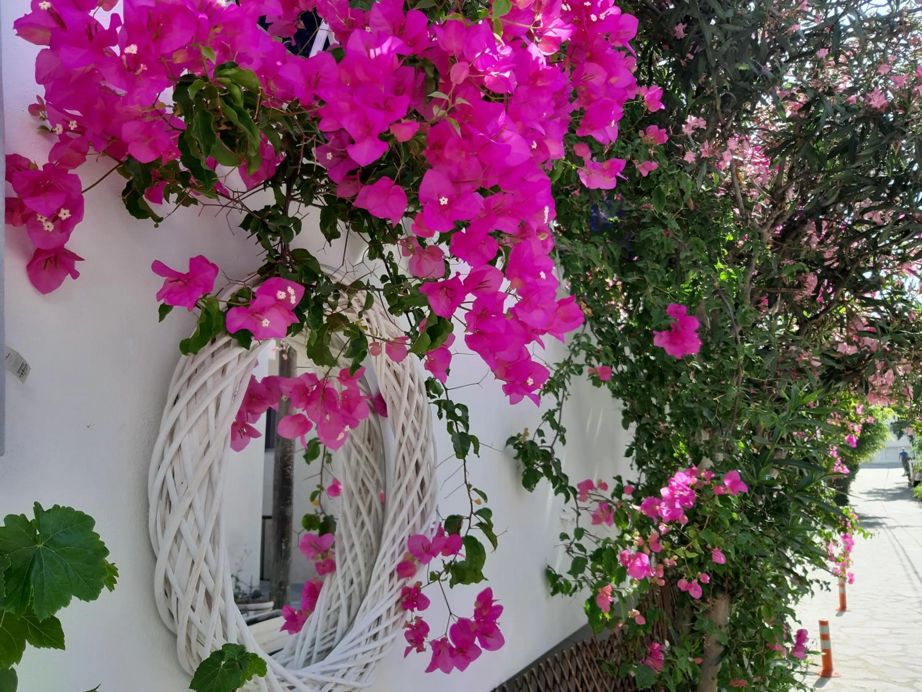 Patio in Doron Hotel Delfini