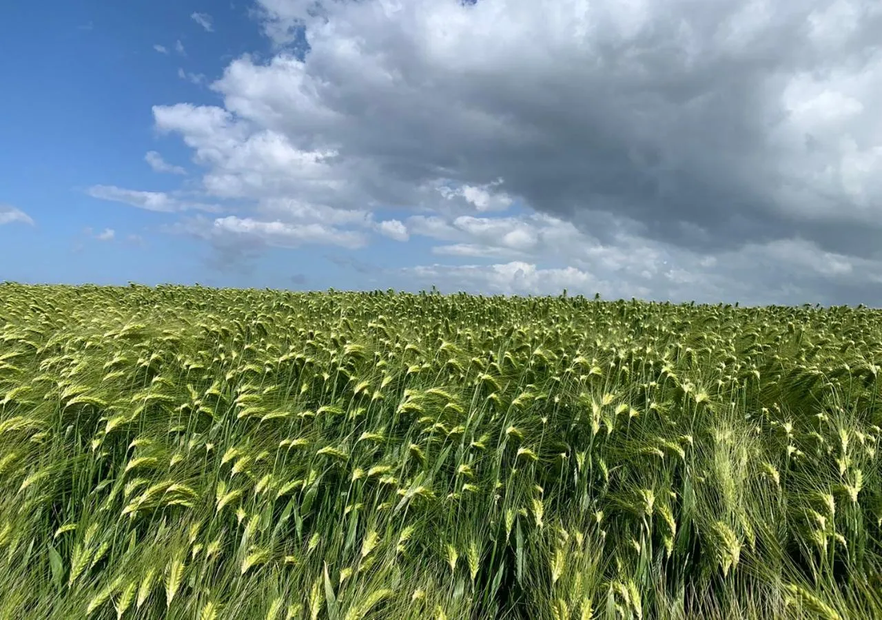 Area and facilities in Waddenhoes Gastenverblijven