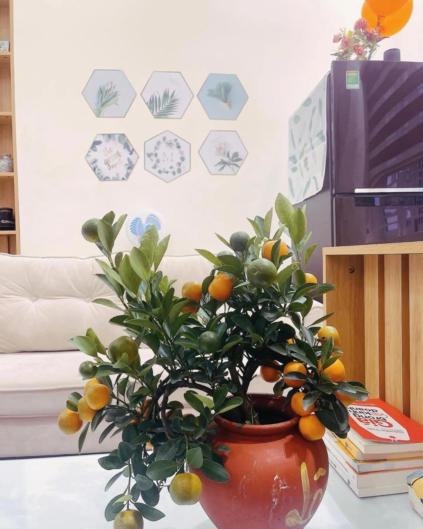 Basic Guest House Hải Phòng