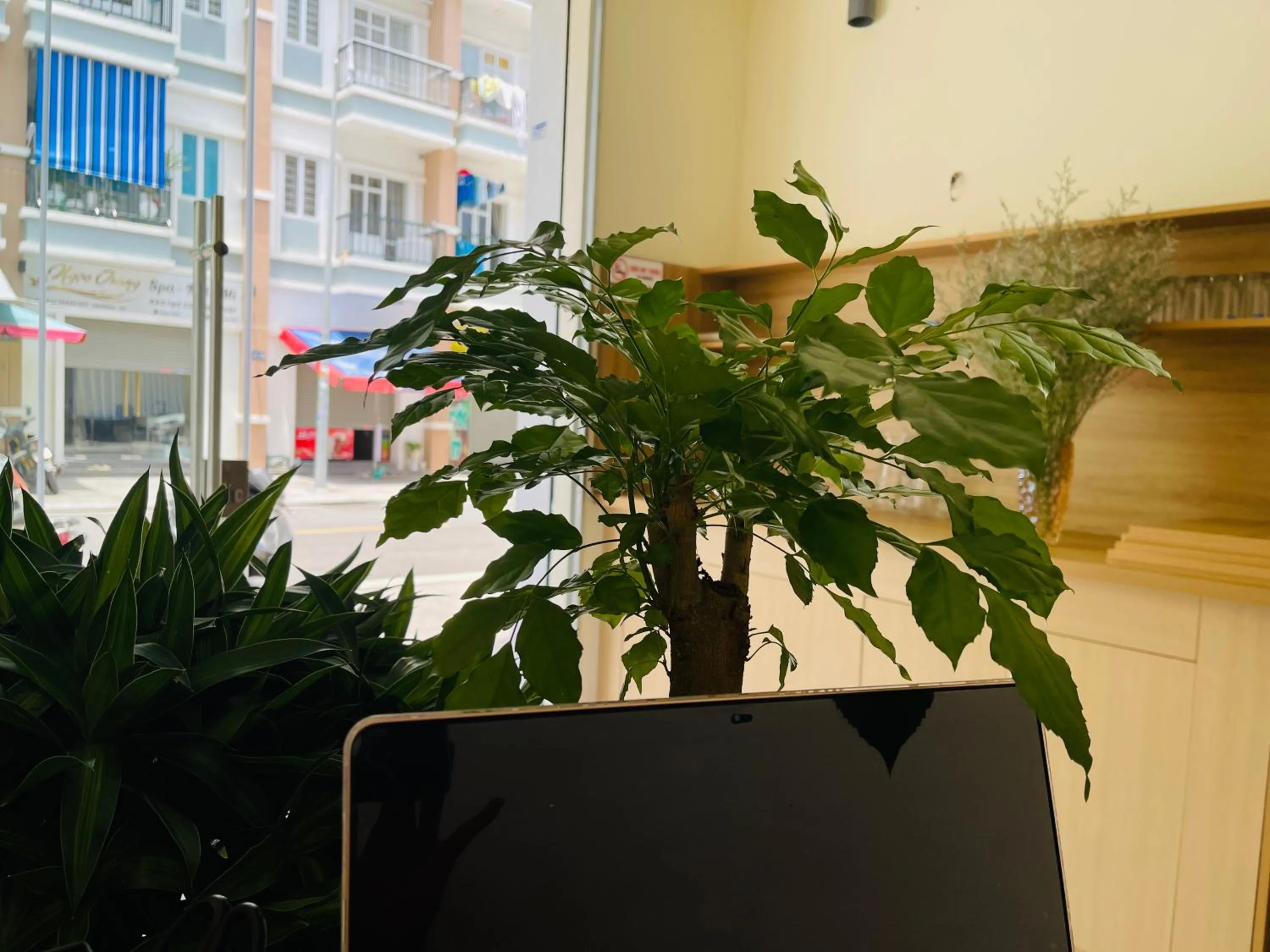 Communal lounge/ TV room in Basic Guest House Hải Phòng