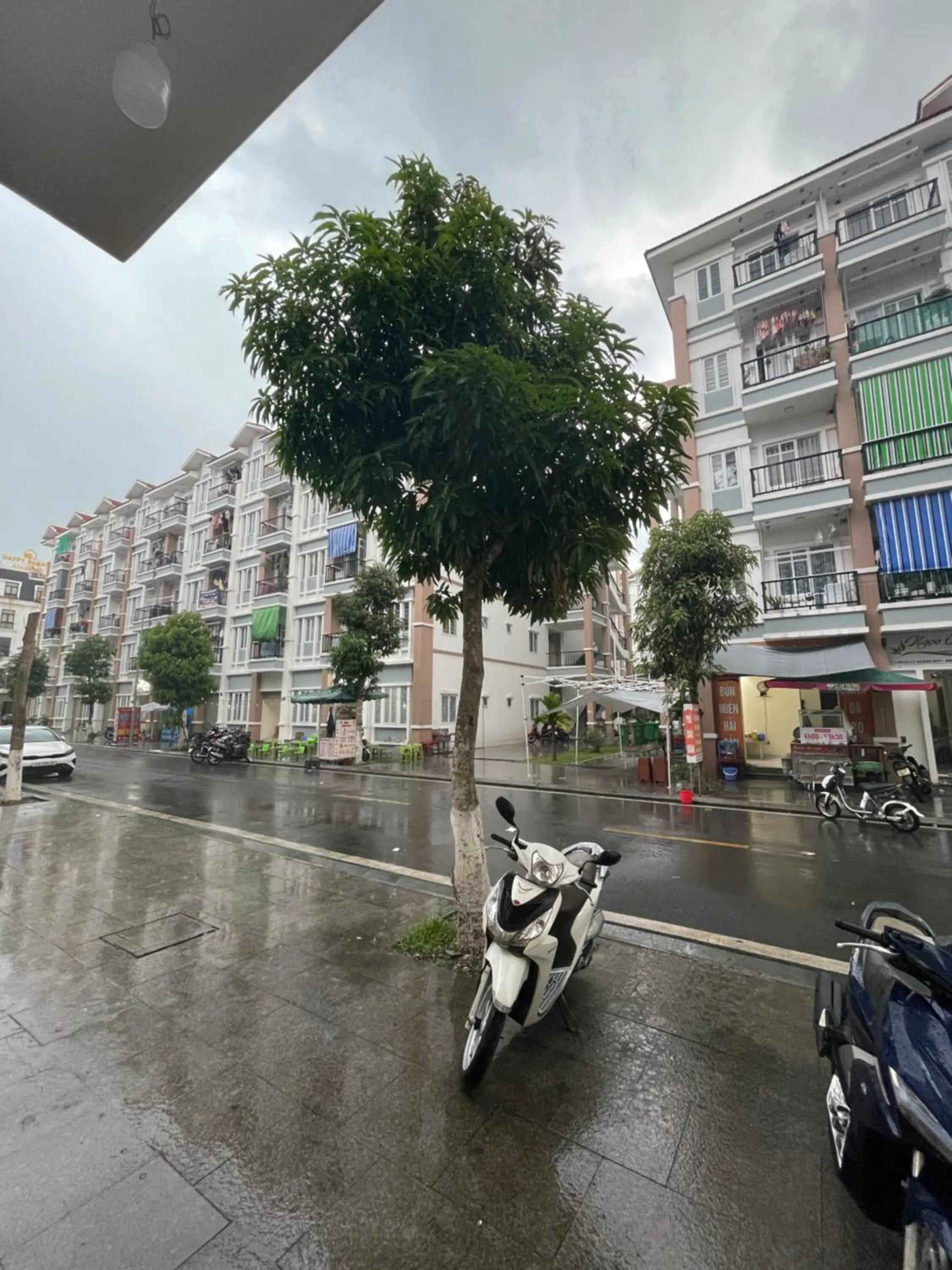 Basic Guest House Hải Phòng