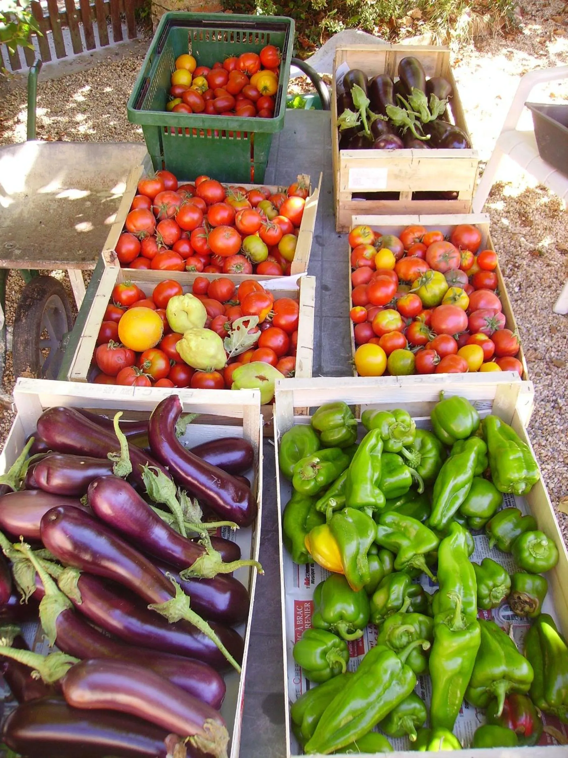 Garden view in Au Grand Pré
