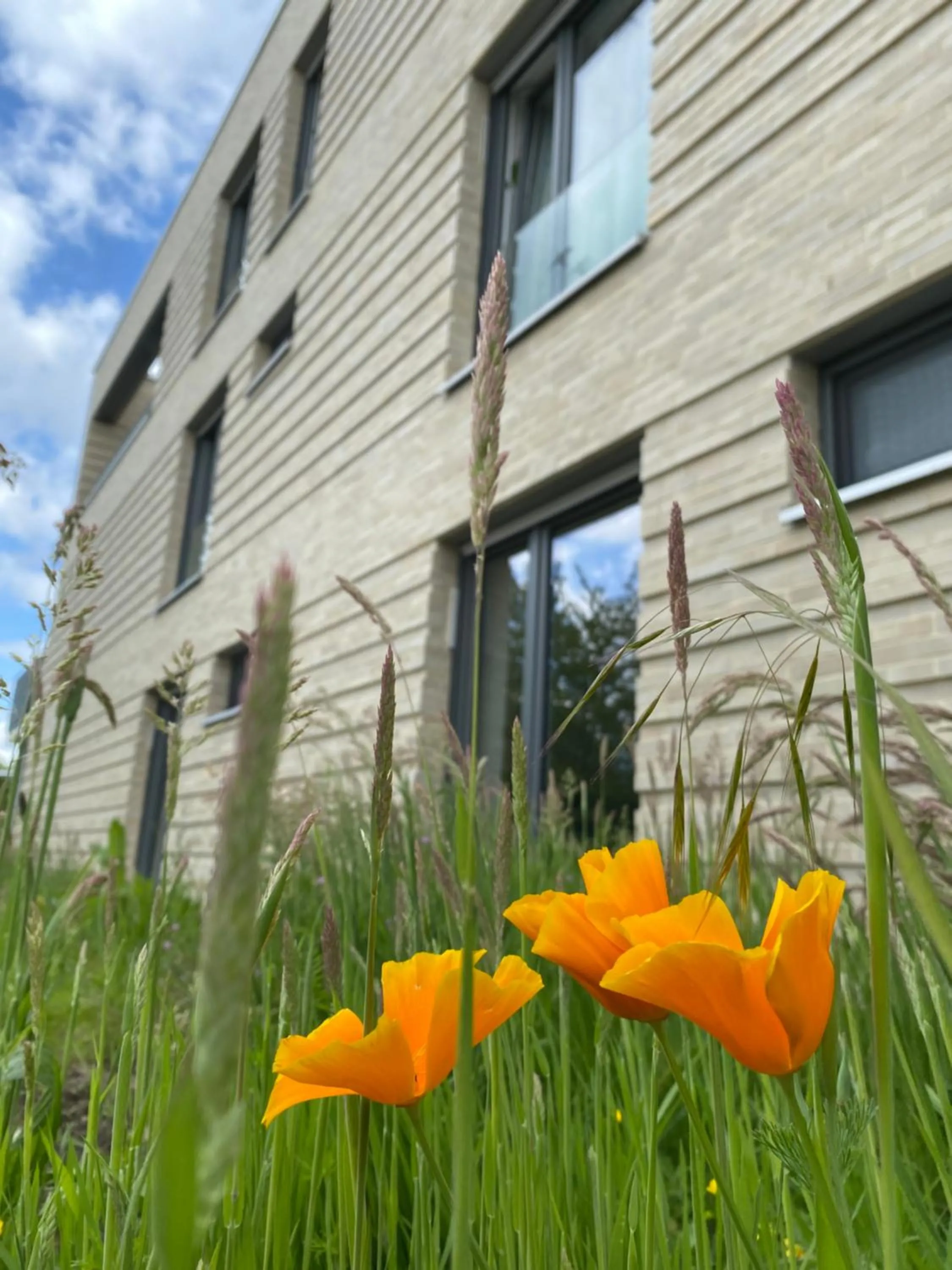 Property building in Appartements Haus Augustinus