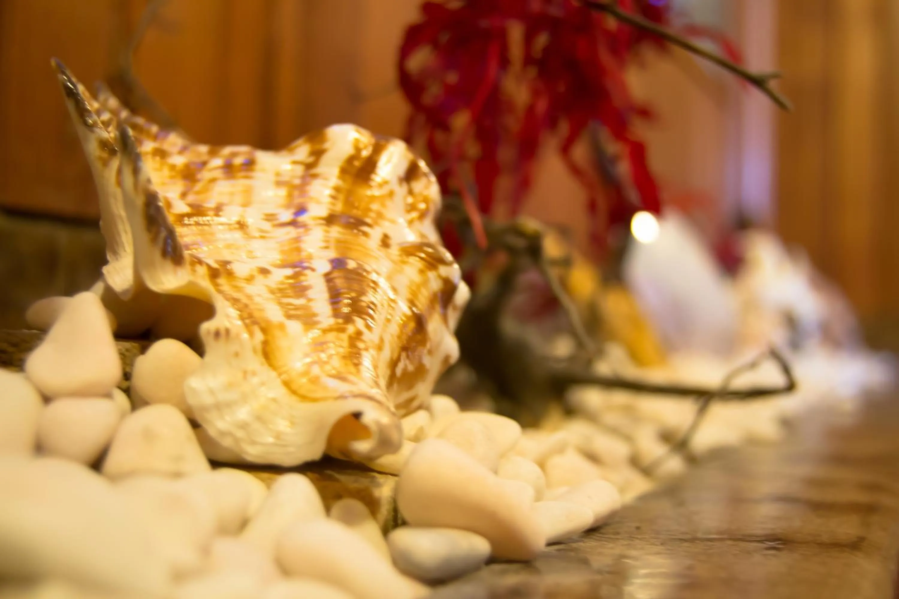 Lobby or reception in Hotel Brisa