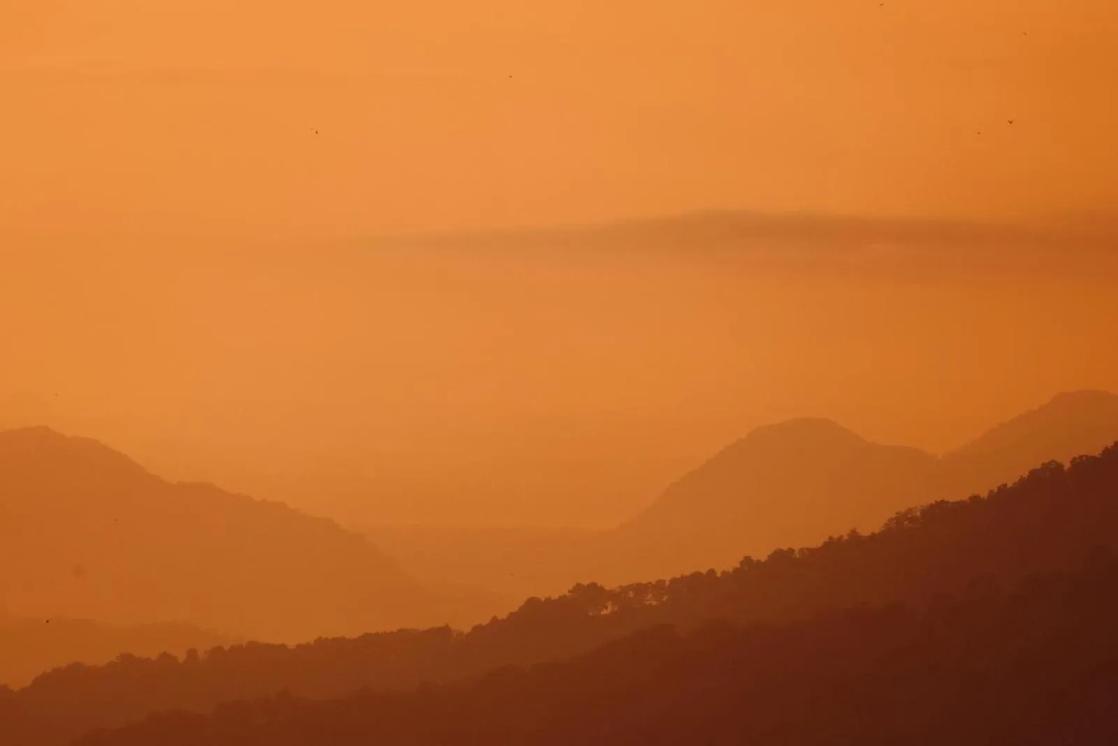 Mountain view in Ella Rock Heaven