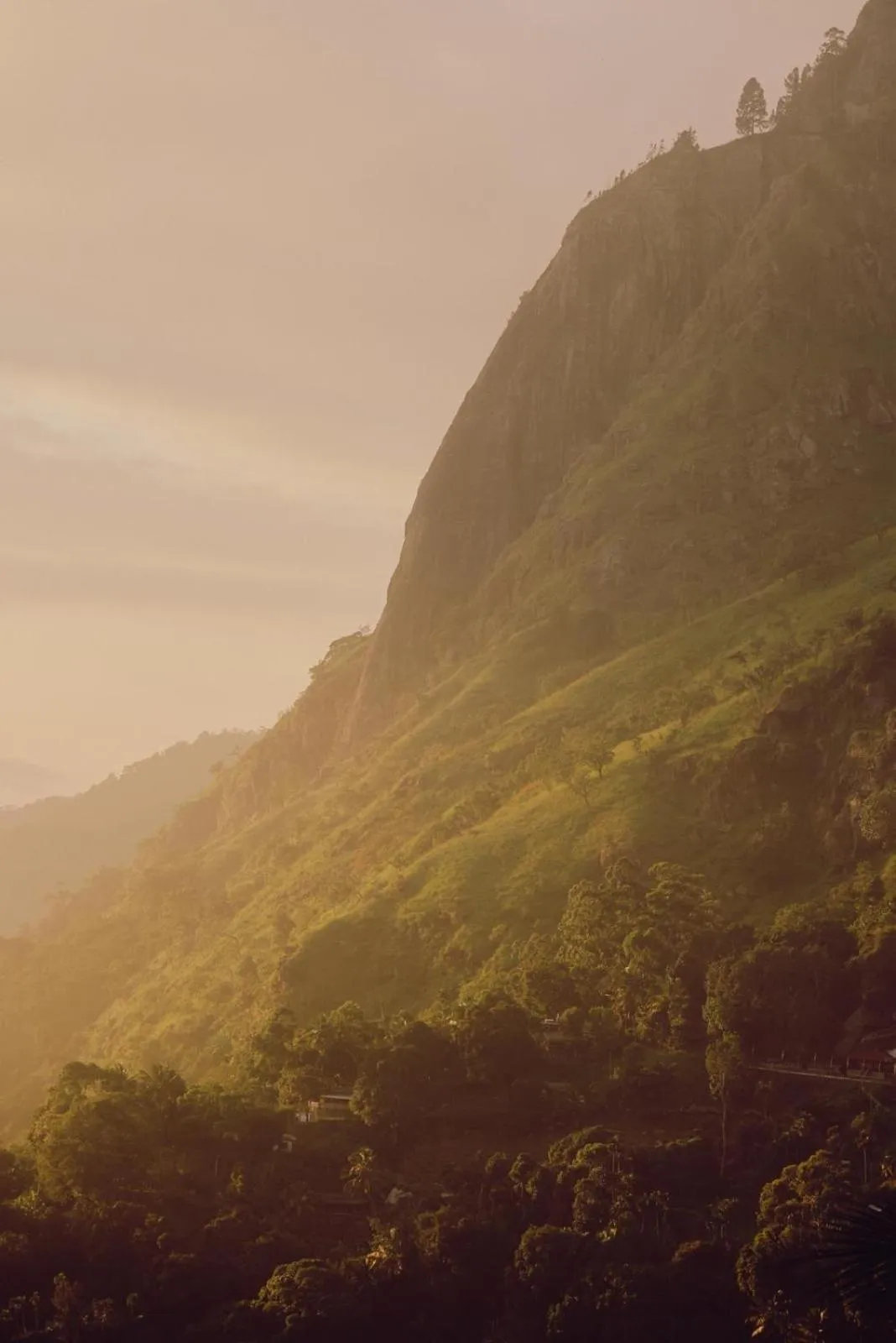 Landmark view in Ella Rock Heaven