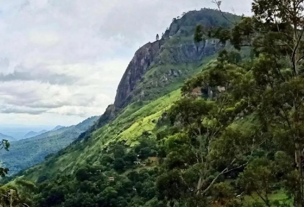 Nearby landmark in Ella Rock Heaven