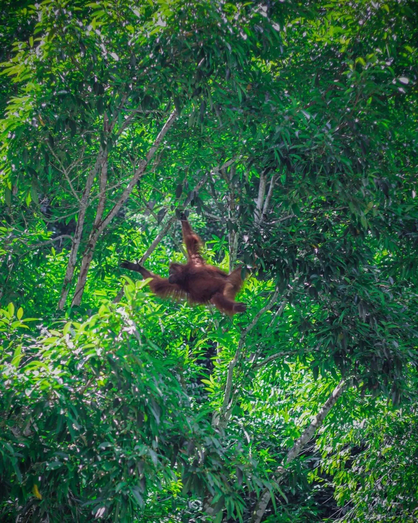Natural landscape in Back to Nature Ecotourism