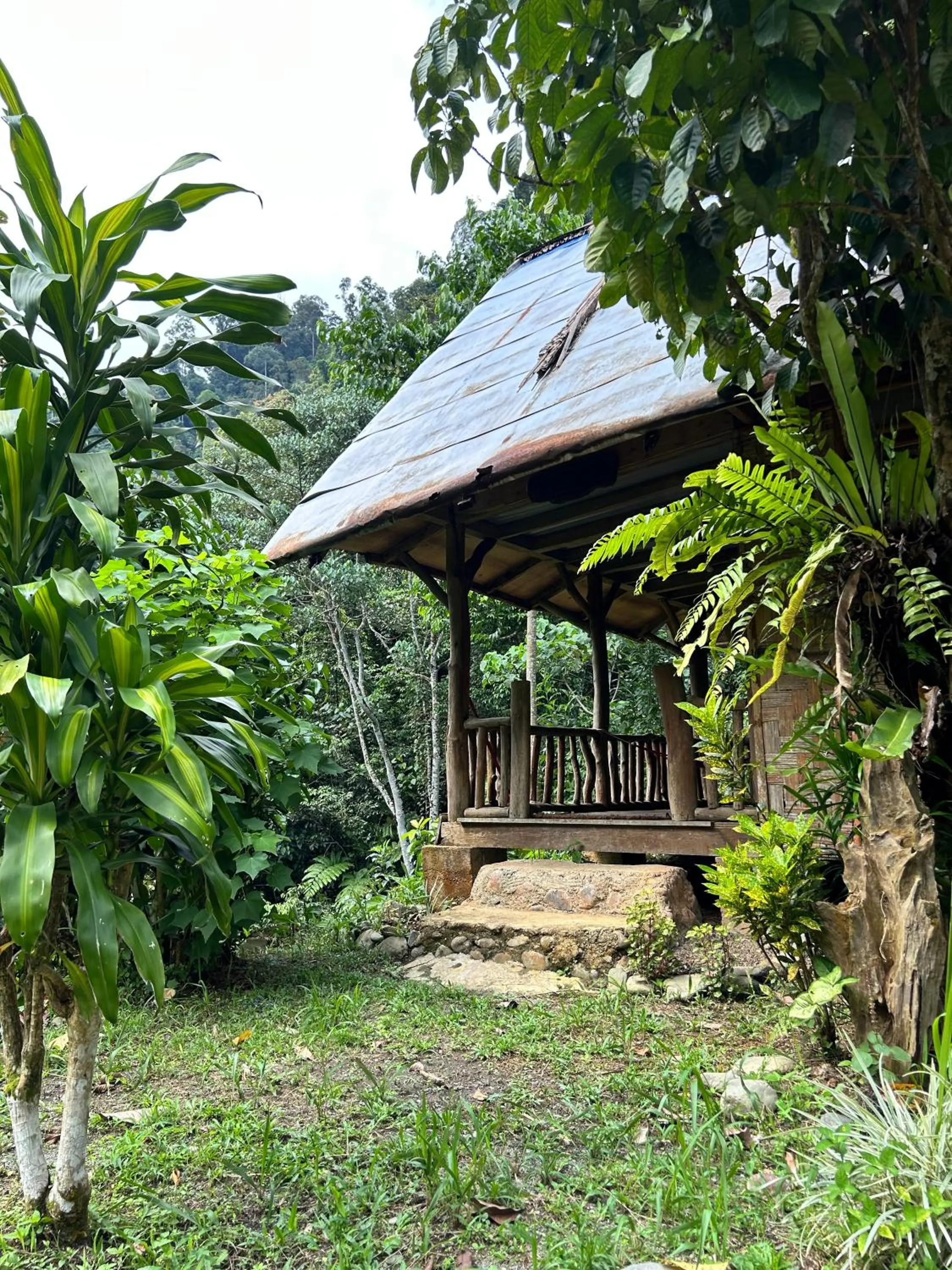 Property building in Back to Nature Ecotourism