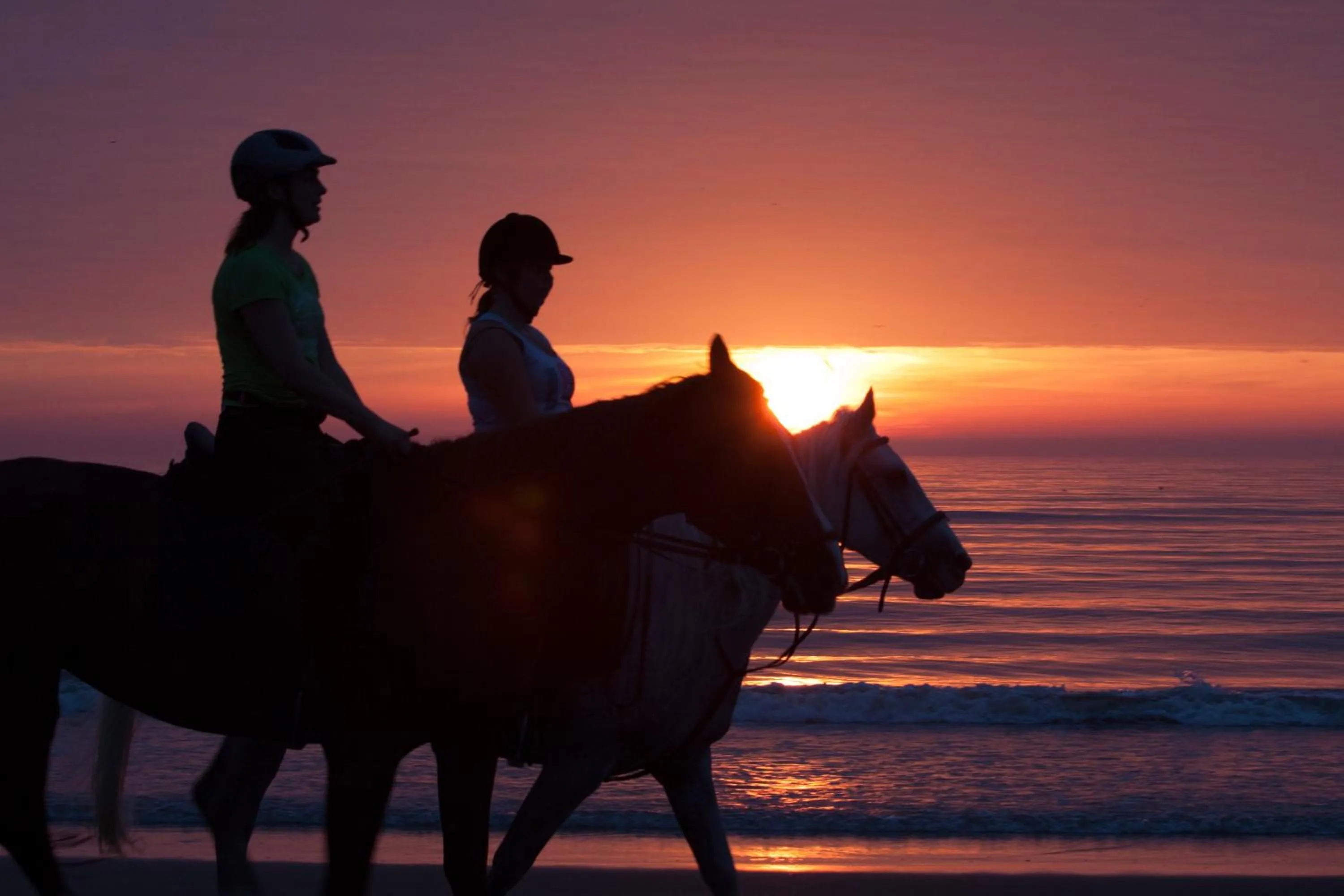 Horse-riding in Hotel Noordzee