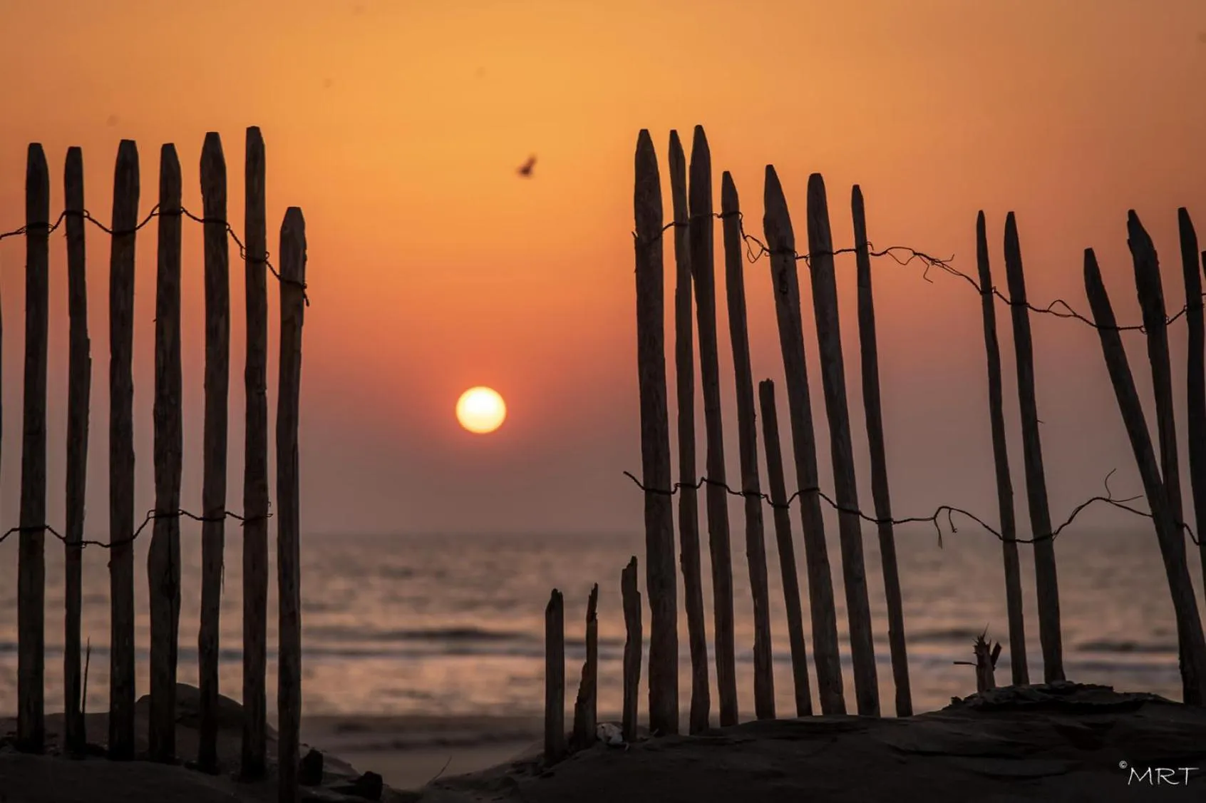 Beach in Hotel Noordzee