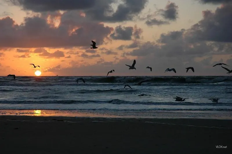 Beach in Hotel Noordzee