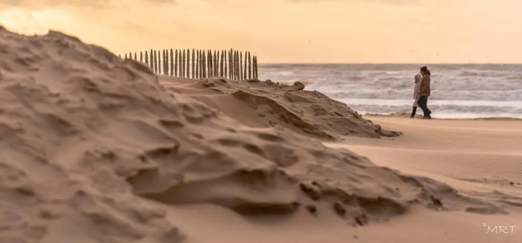 Natural landscape in Hotel Noordzee