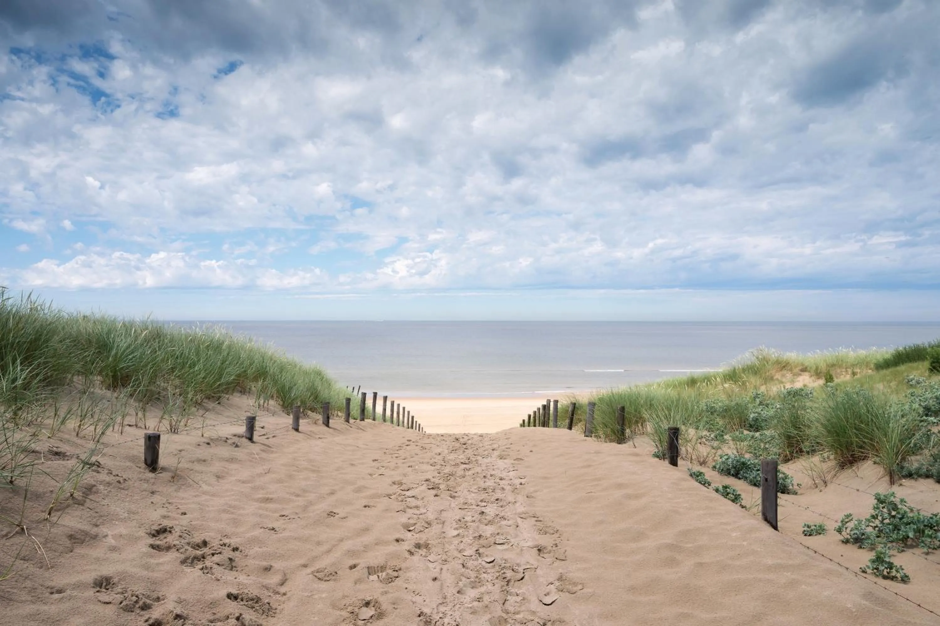 Beach in Hotel Noordzee