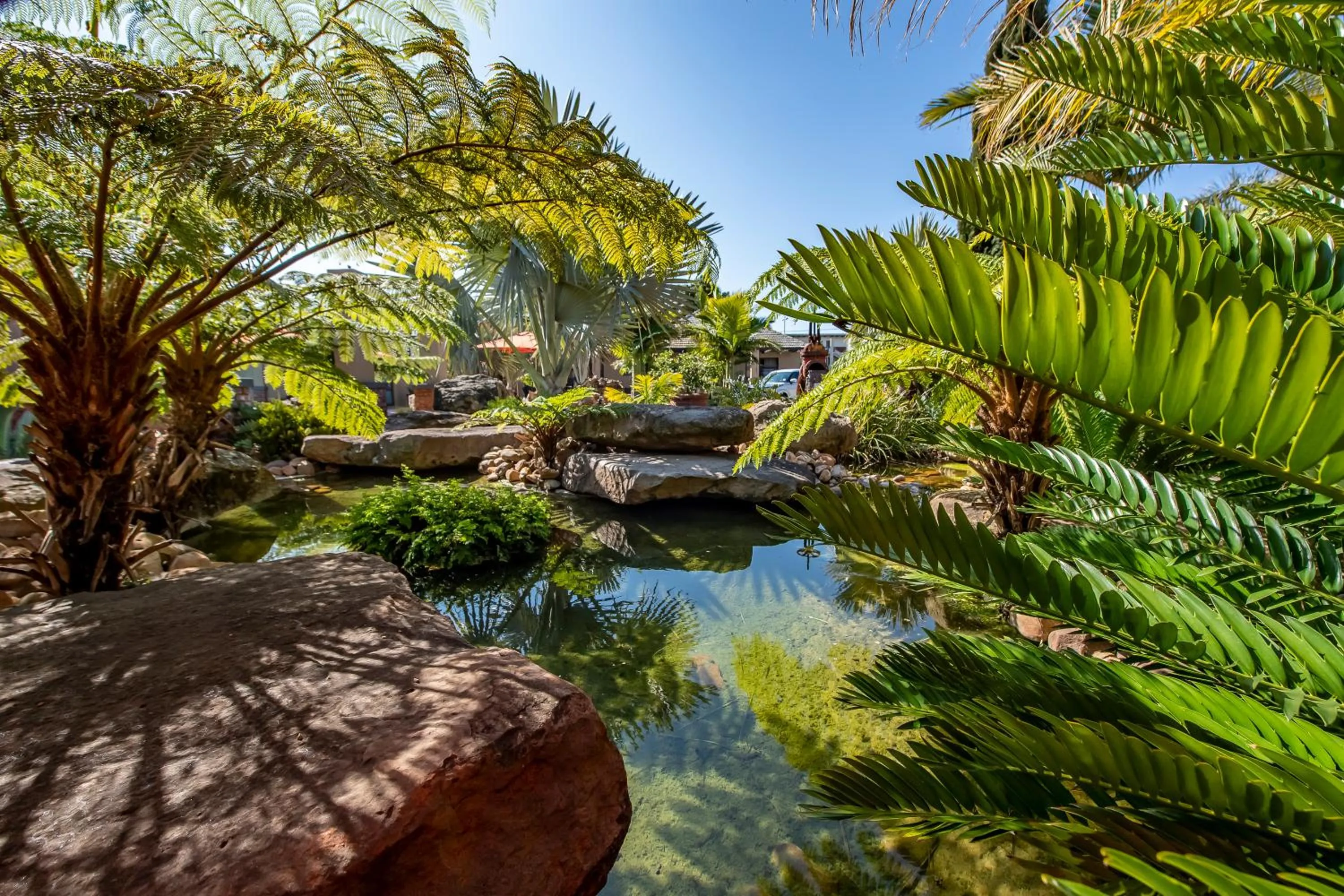 Garden in Excellent Guest House
