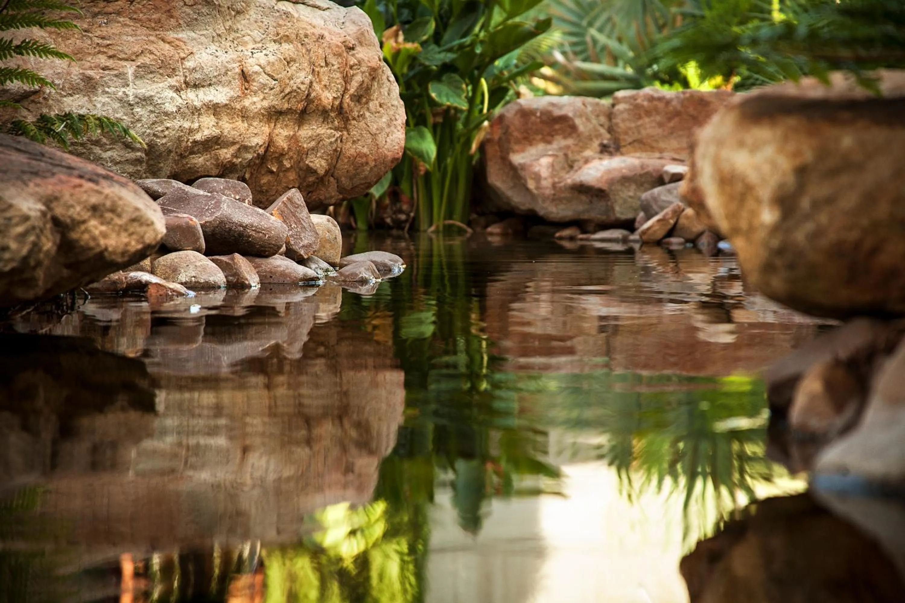 Other in Excellent Guest House