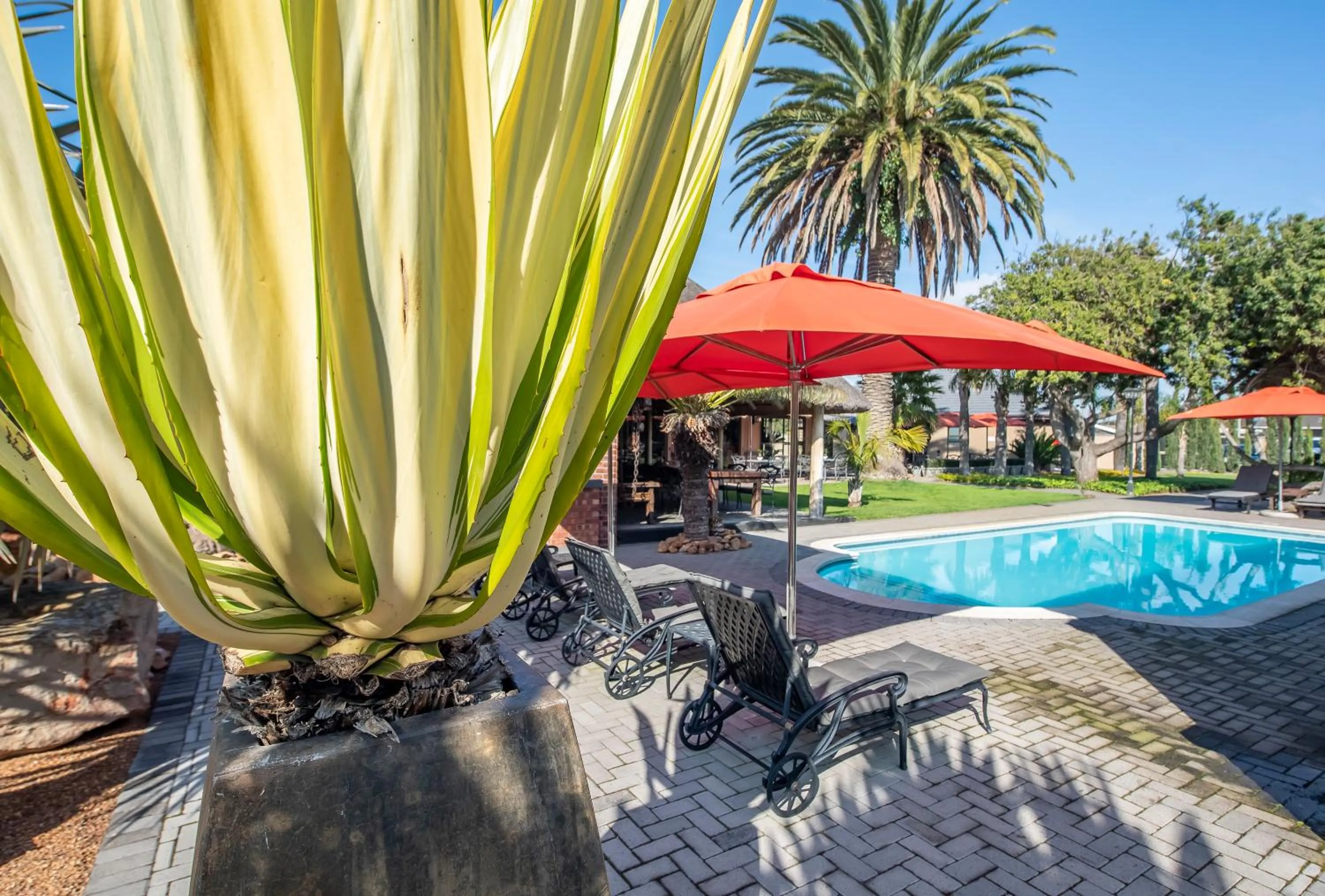 Swimming pool in Excellent Guest House