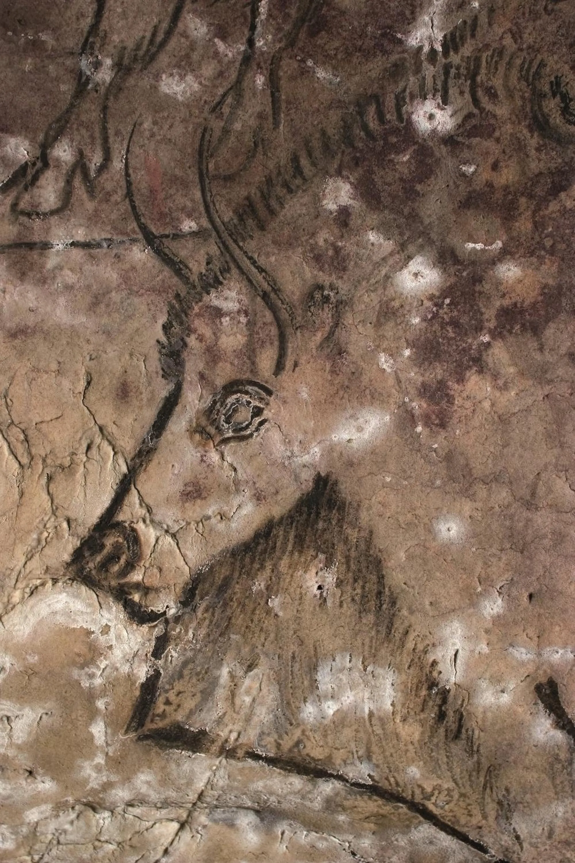 Other in Hôtel Terranostra