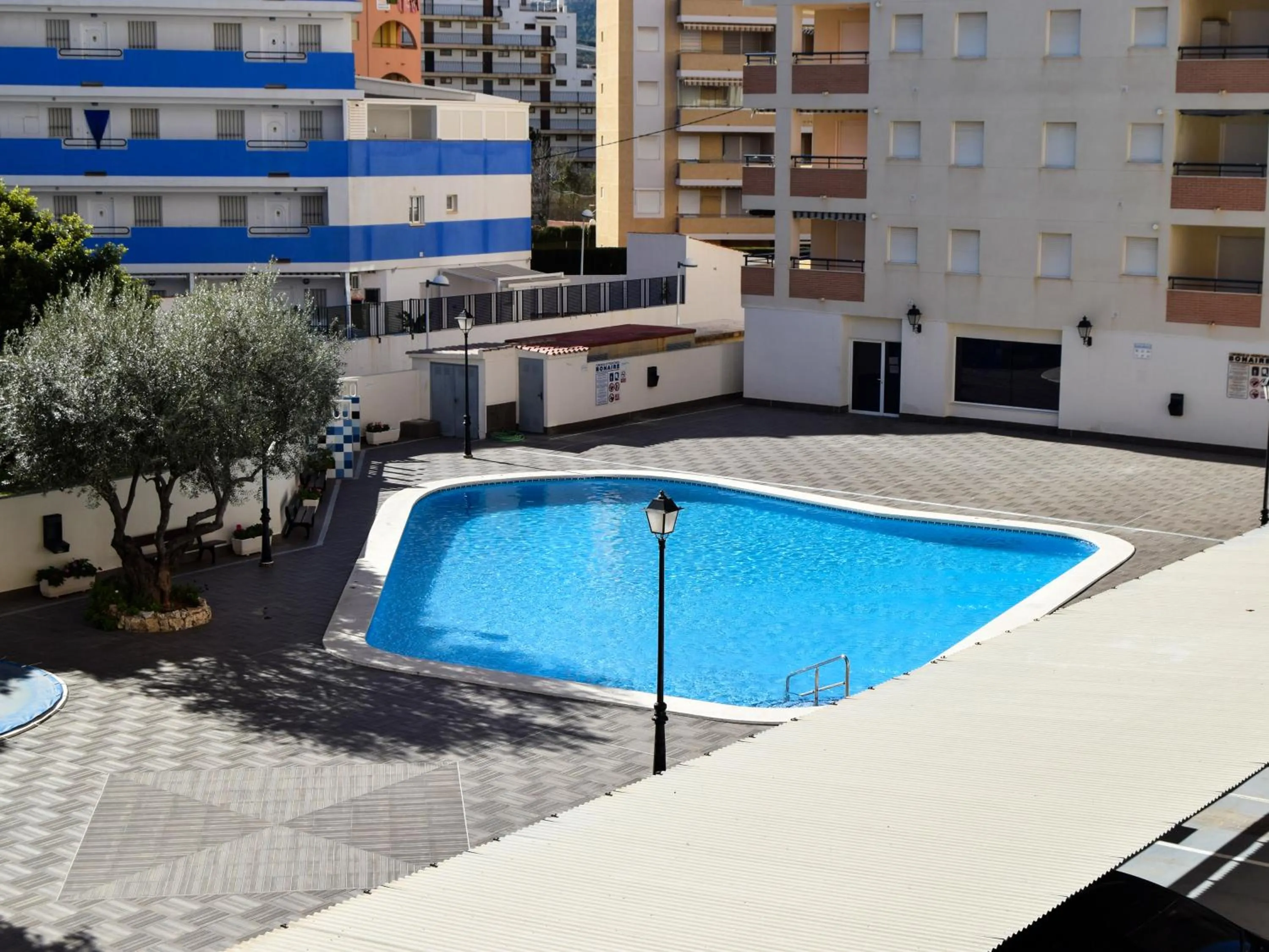 Swimming pool in Apartamentos Bonaire 3000