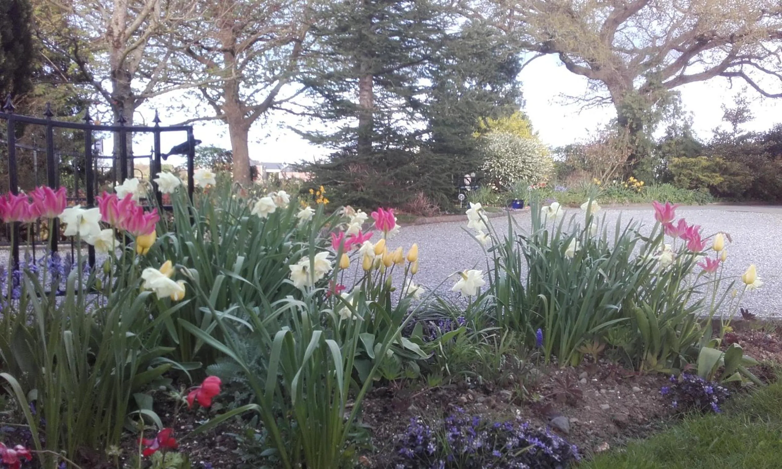 Garden view in Twin Oaks Bed & Breakfast