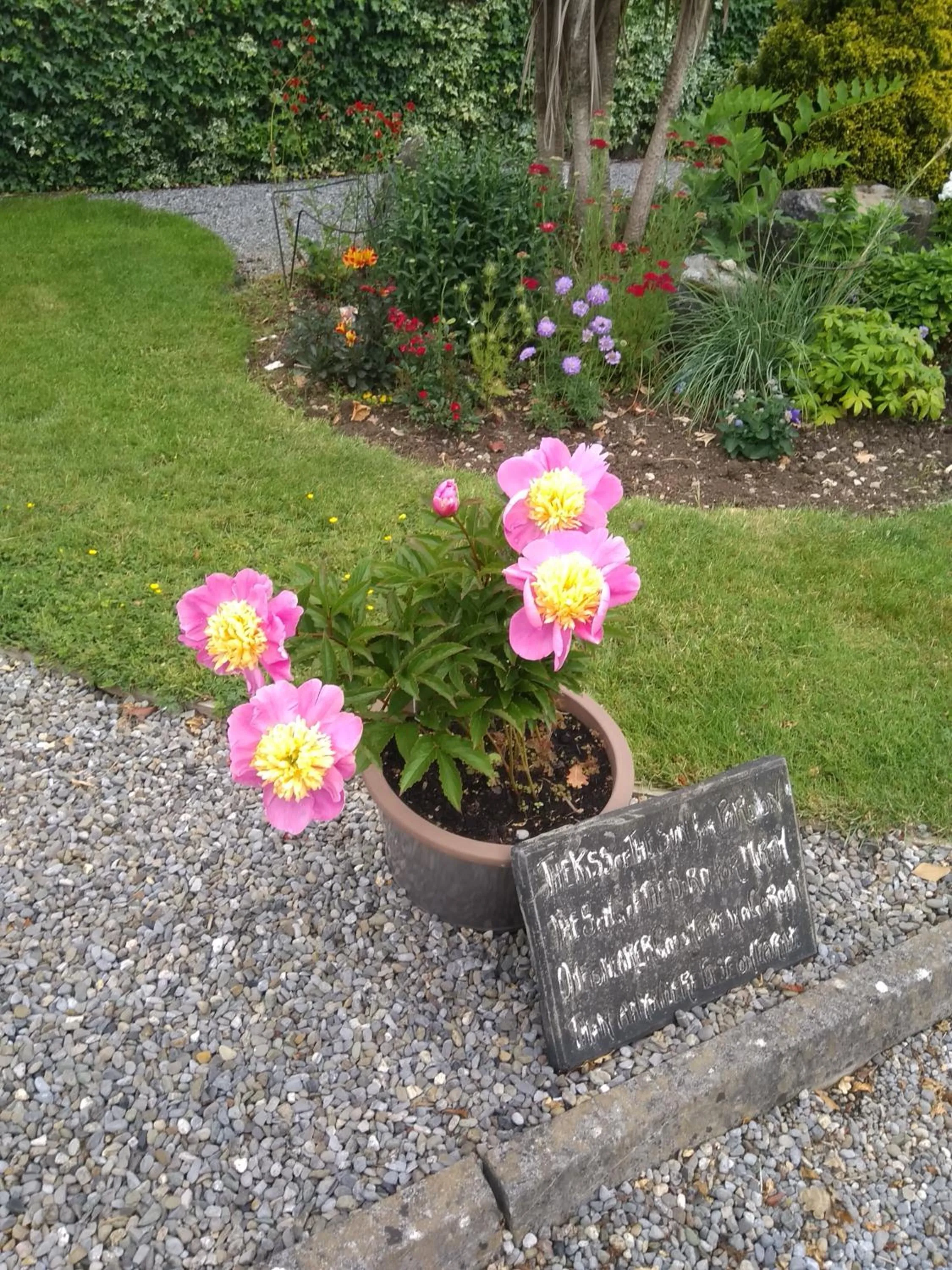 Garden in Twin Oaks Bed & Breakfast