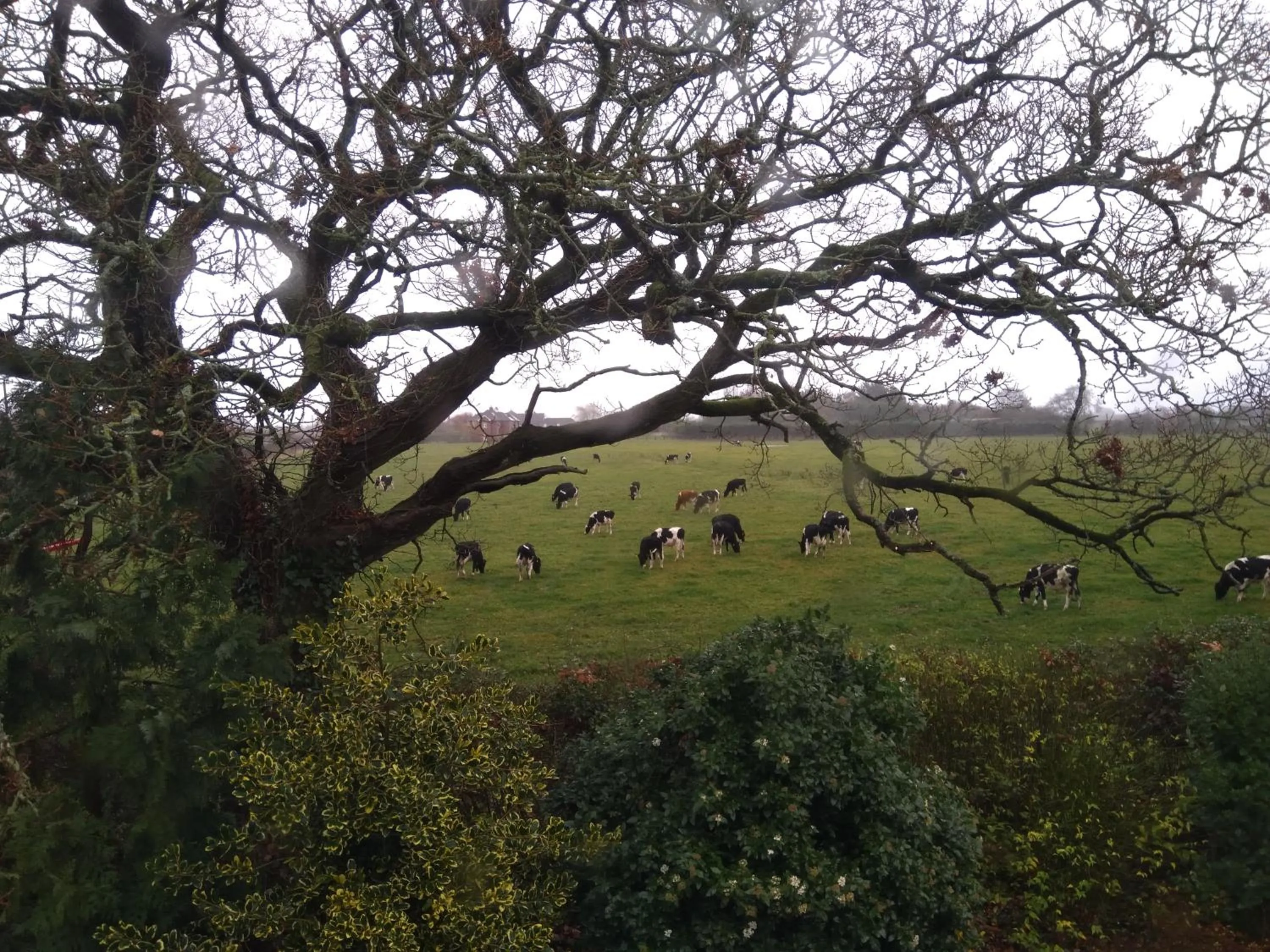 Neighbourhood in Twin Oaks Bed & Breakfast