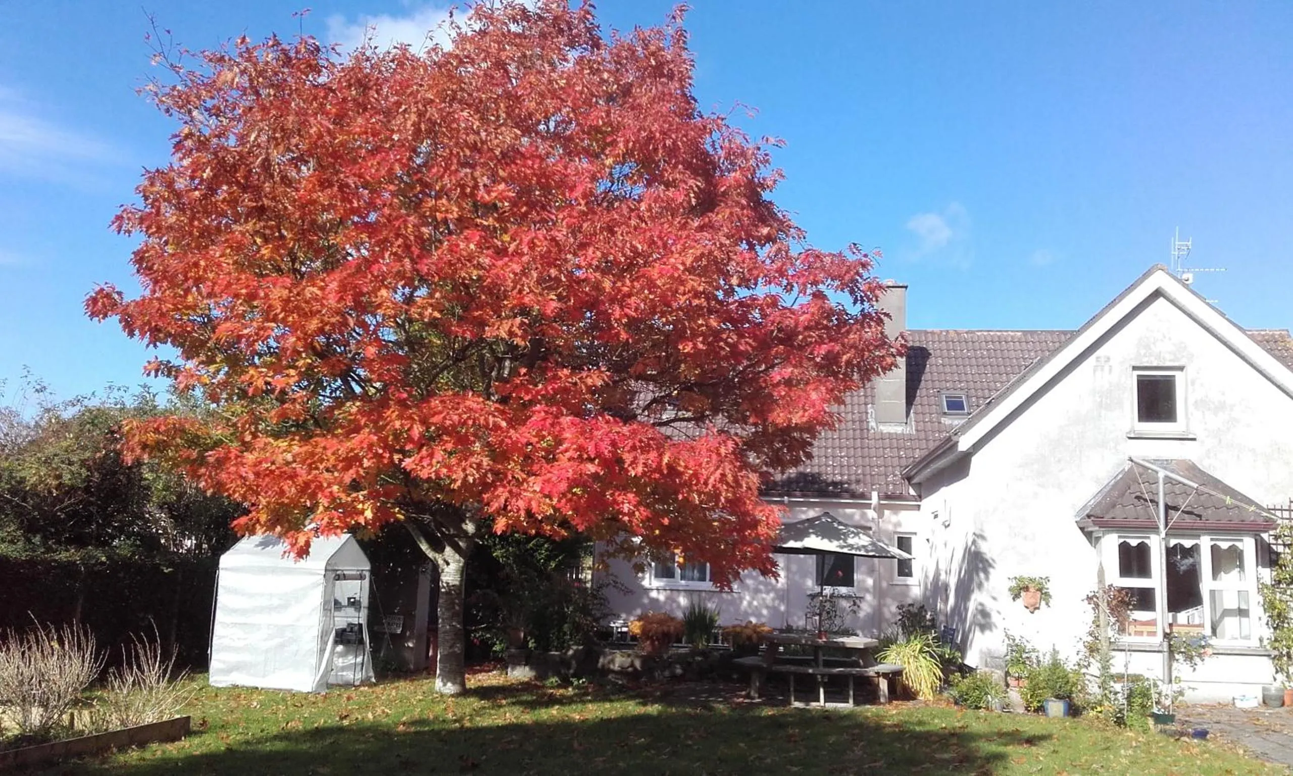 Garden in Twin Oaks Bed & Breakfast