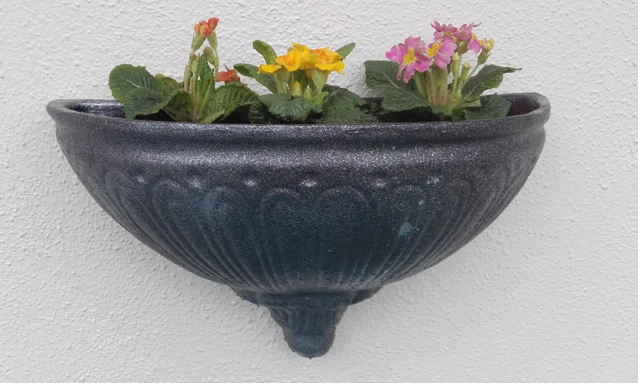 Spring in Twin Oaks Bed & Breakfast